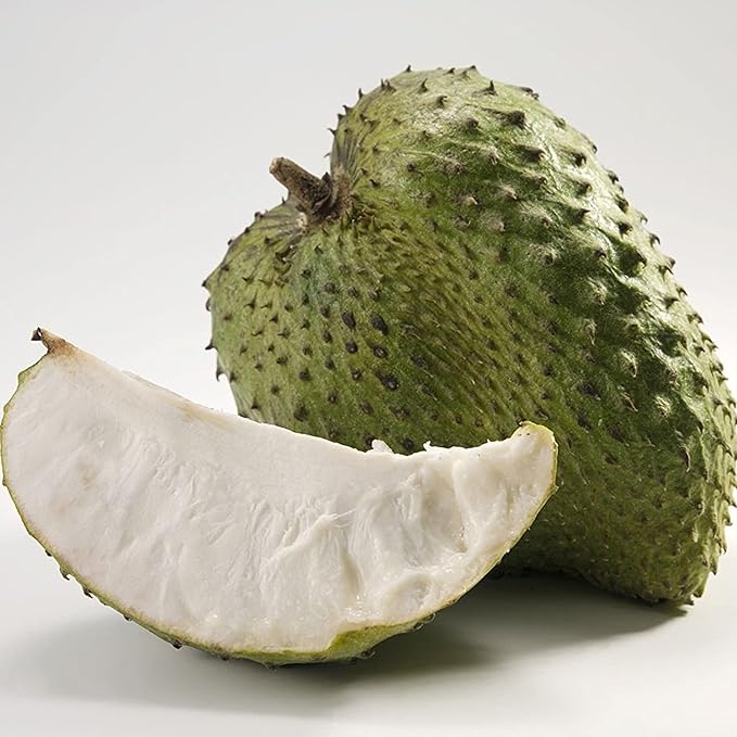 Giant Soursop Seeds Annona Tropical Fruit with Sweet Tangy Flavor for Culinary  Health Benefits - Image 5