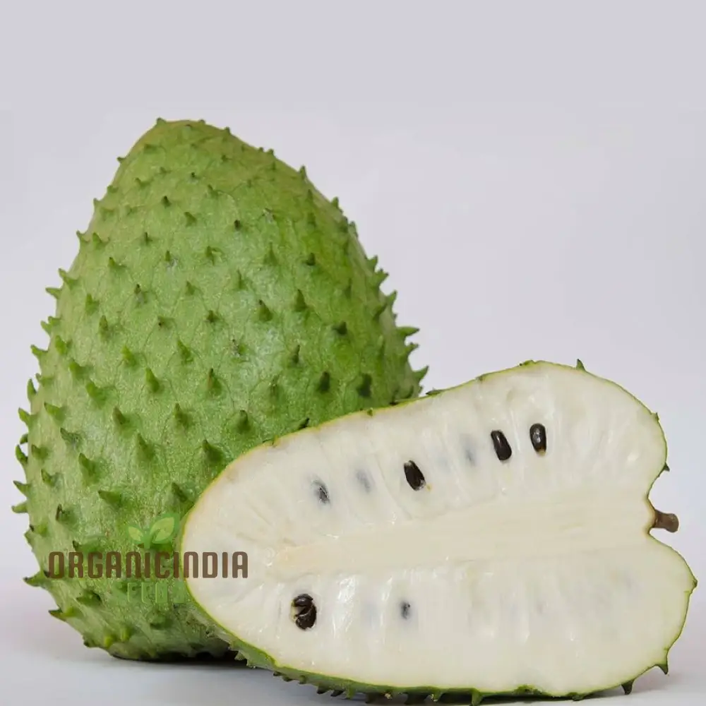 Giant Soursop Tropical Fruit Seeds Grow Your Own Exquisite, Lush Tropical Delights with Expert Planting and Gardening - Image 4