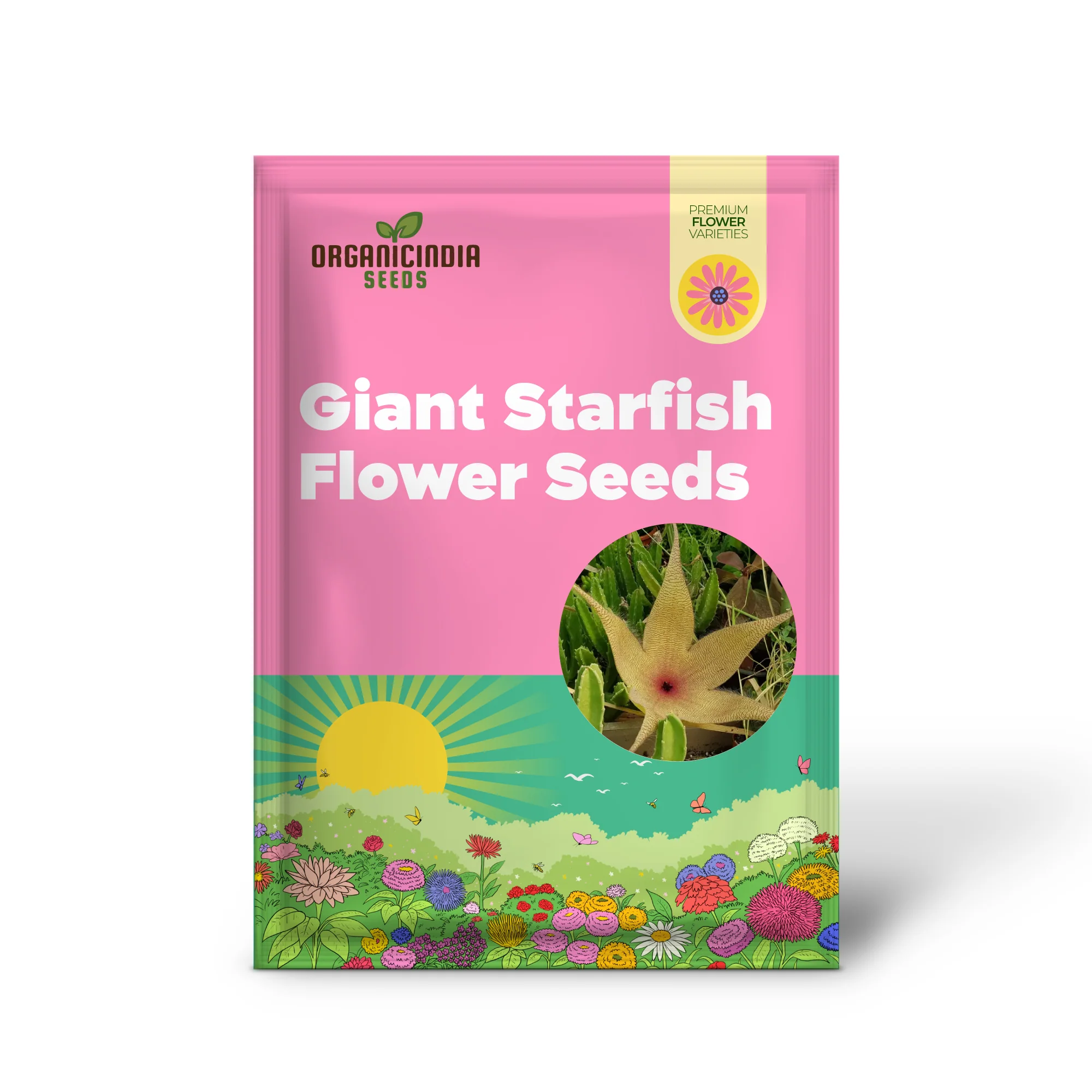Giant Starfish Flower Seeds, Rare Hermia, Zulu Carrion Giant for Planting - Image 2