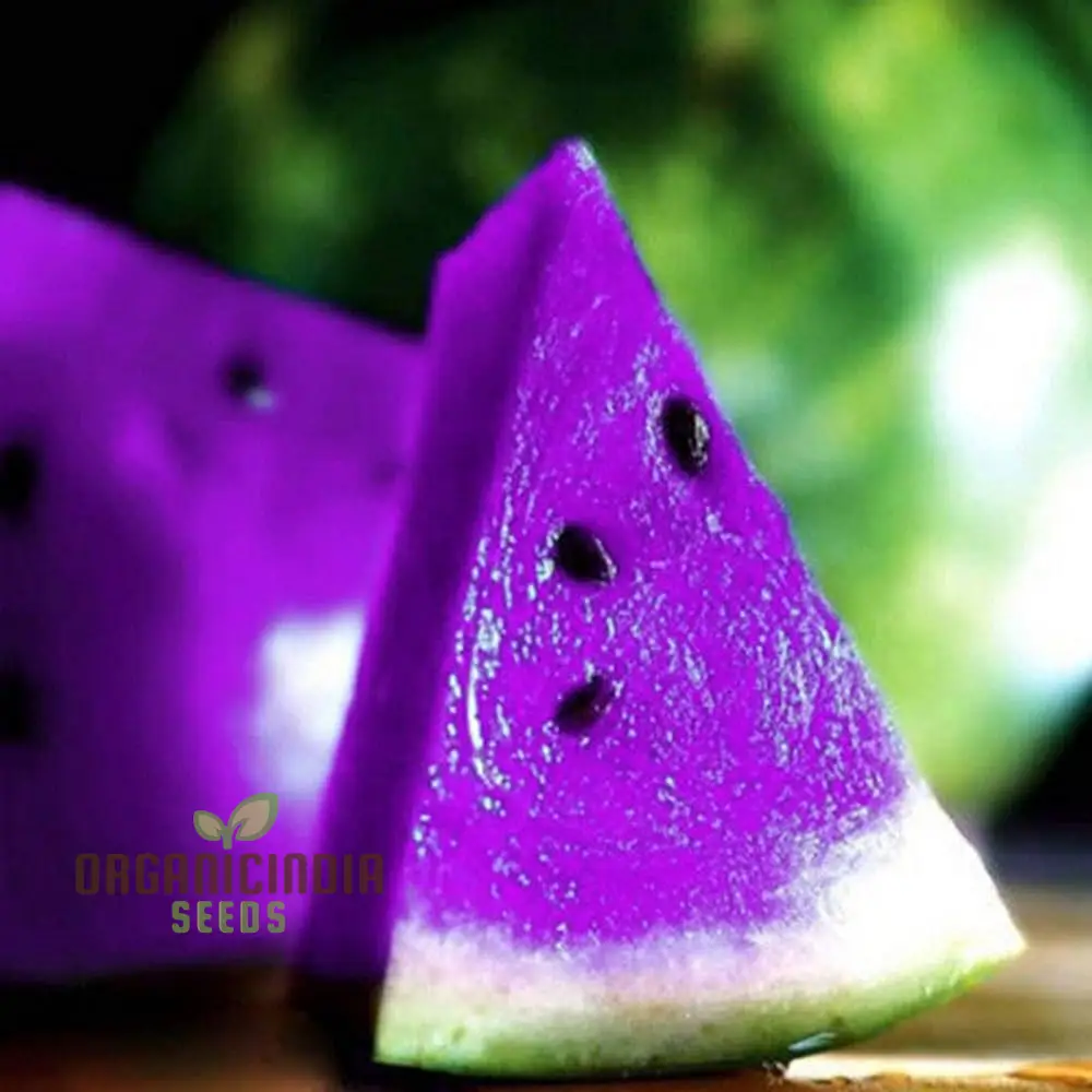Giant Sweet Watermelon Seeds