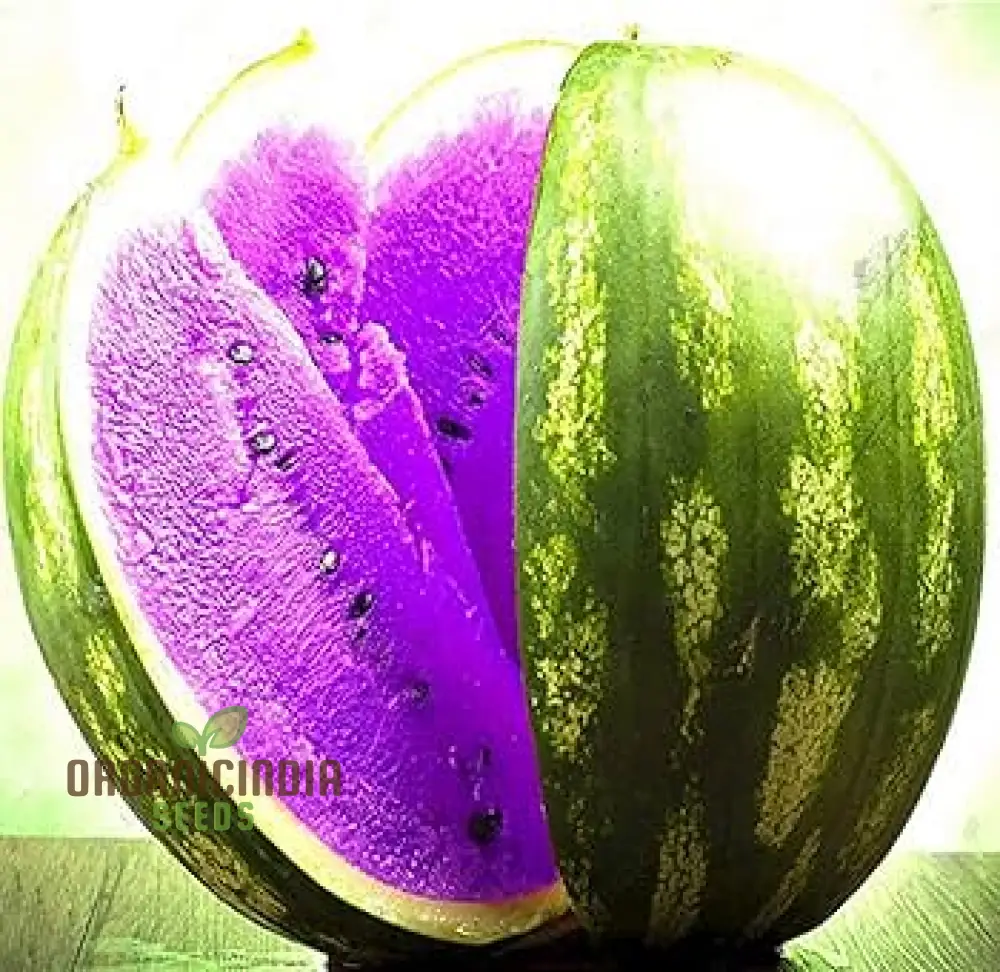 Giant Sweet Watermelon Seeds - Image 3