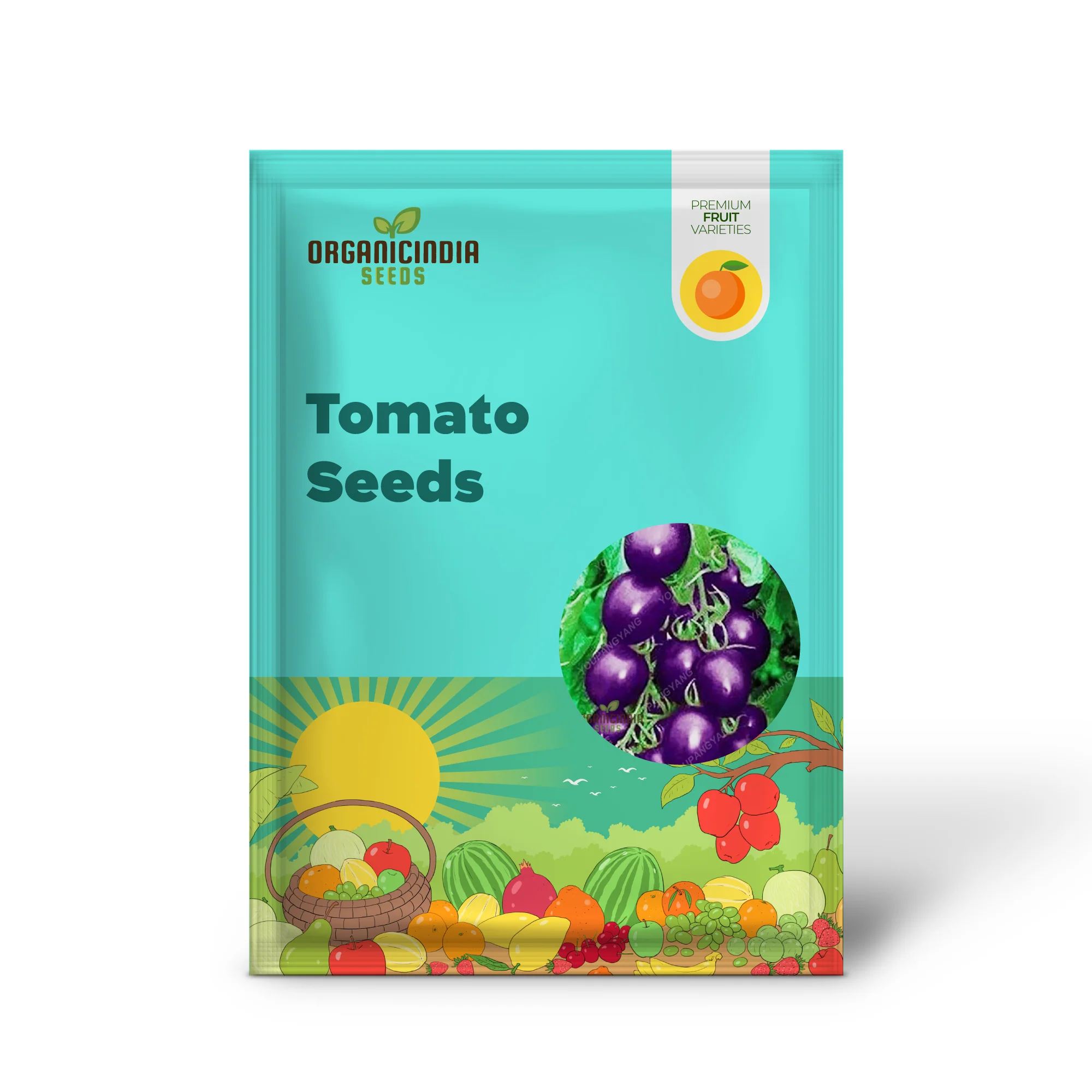Giant Tomato Seeds - Planting - Image 2