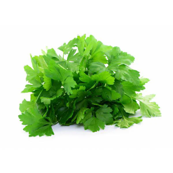 Gigante d’Italia Parsley Seeds – Premium Heirloom Herb for Flavorful Cooking & Gardening | Buy Organic Seeds Online - Image 3