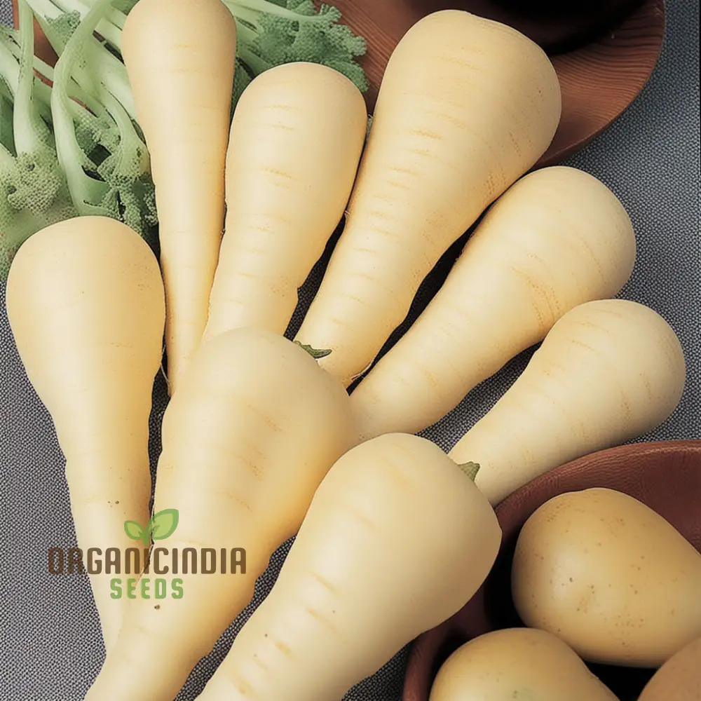 Gladiator F1 Parsnip Vegetable Seeds, Cultivate Robust and Flavorful Parsnips with Expert Tips from Seed to Harvest