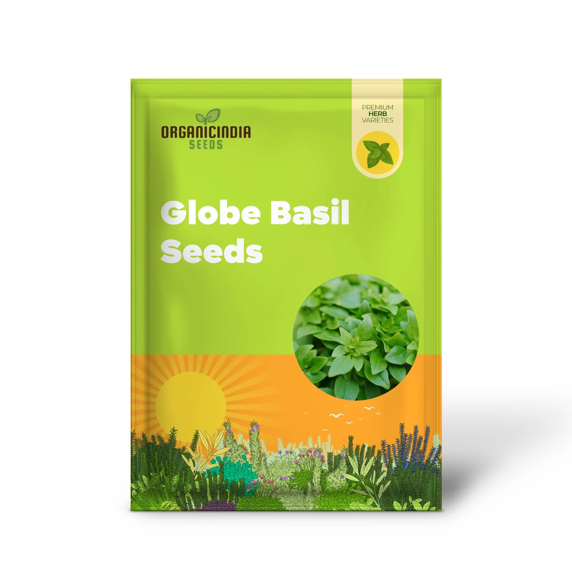 Globe Basil Seeds – Compact Aromatic Herb for Container & Garden Planting - Image 2