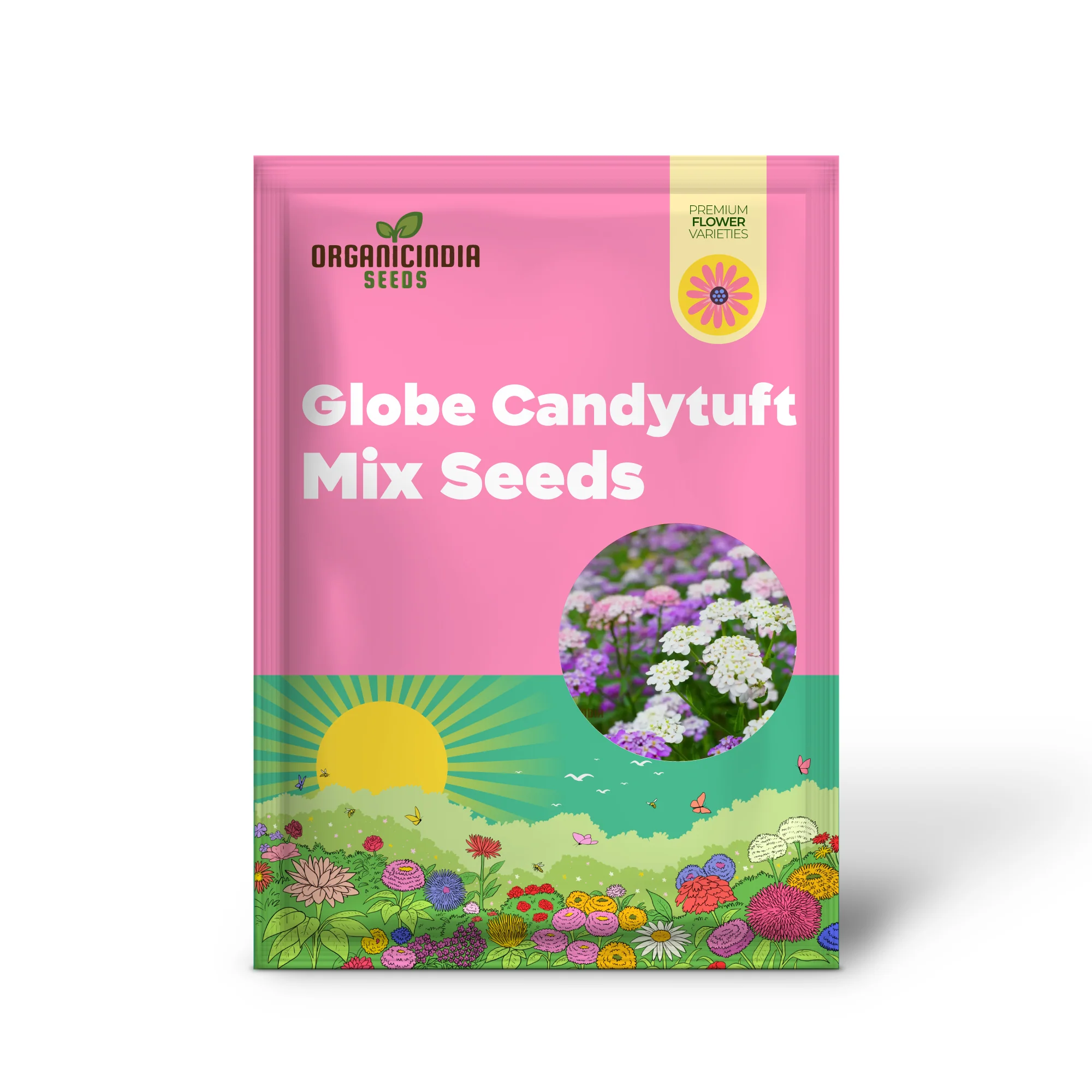 Globe Candytuft Mix Seeds - Colorful Blooms for Your Garden for Planting - Image 2