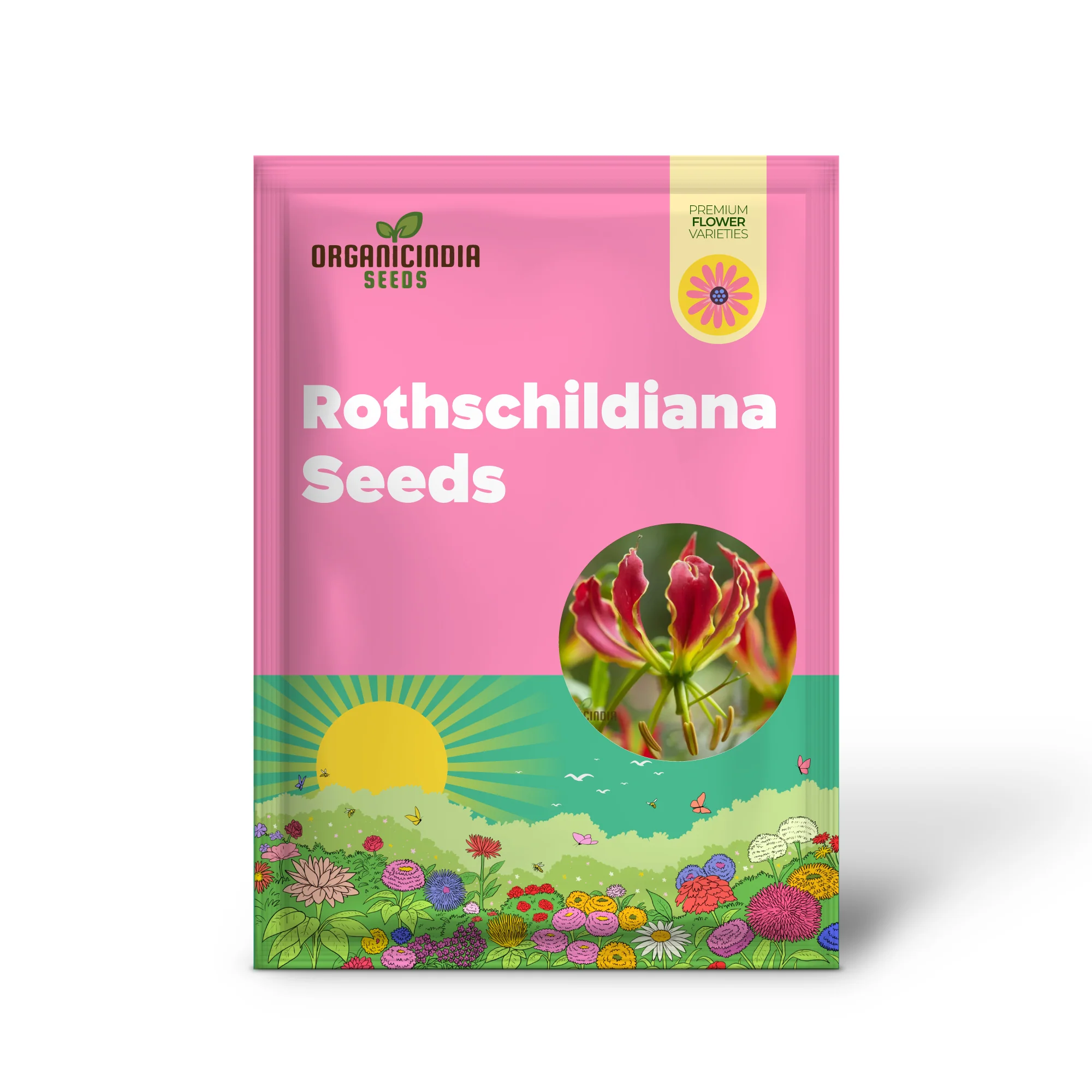 Gloriosa Rothschildiana Seeds For planting- Exquisite Climbing Vine for Elegant Gardens | Rare Gardening Gem with Striking Blooms - Image 2