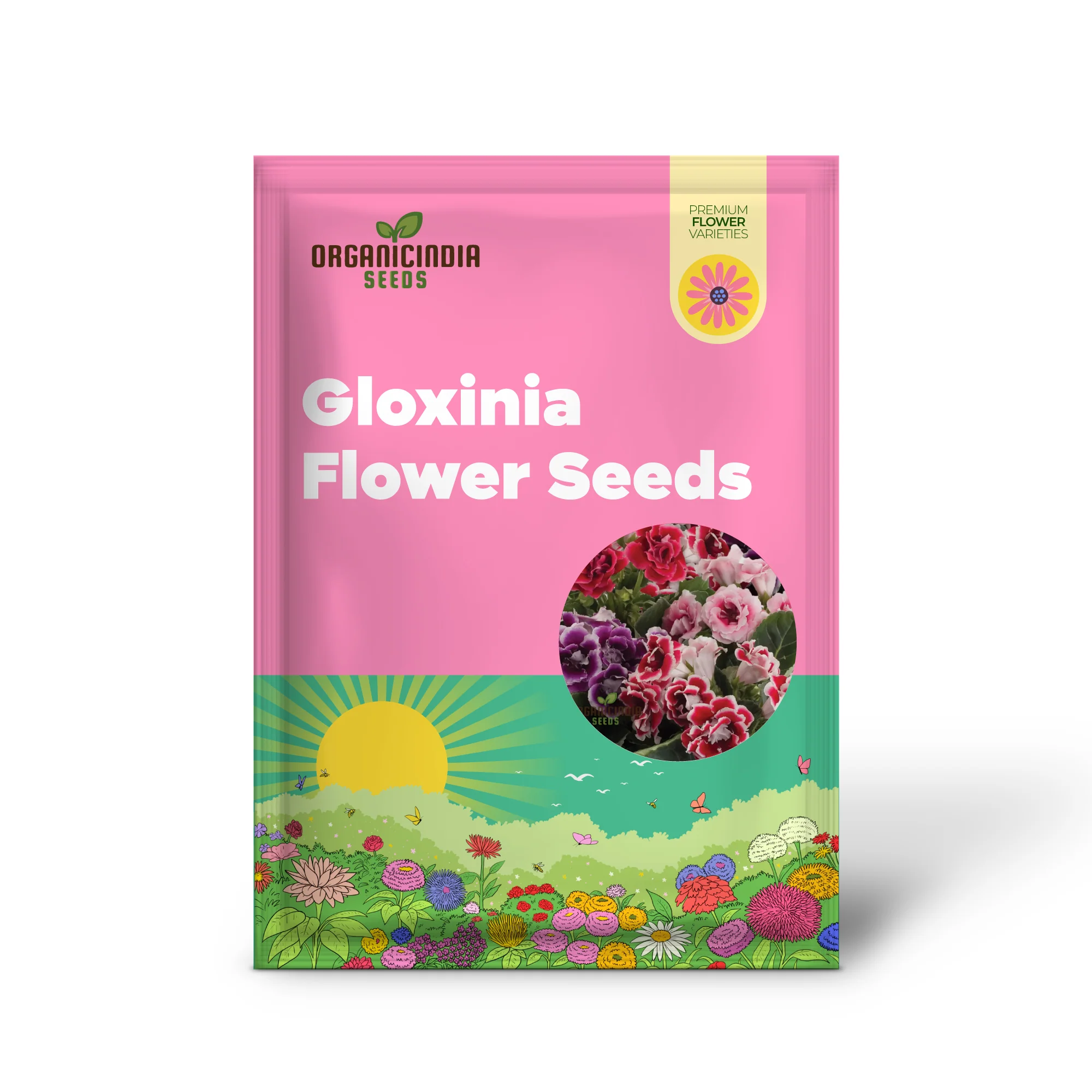 Gloxinia Seeds (Gloxinia Flower Seeds) - Splendid Indoor Blooming Plant - Image 2