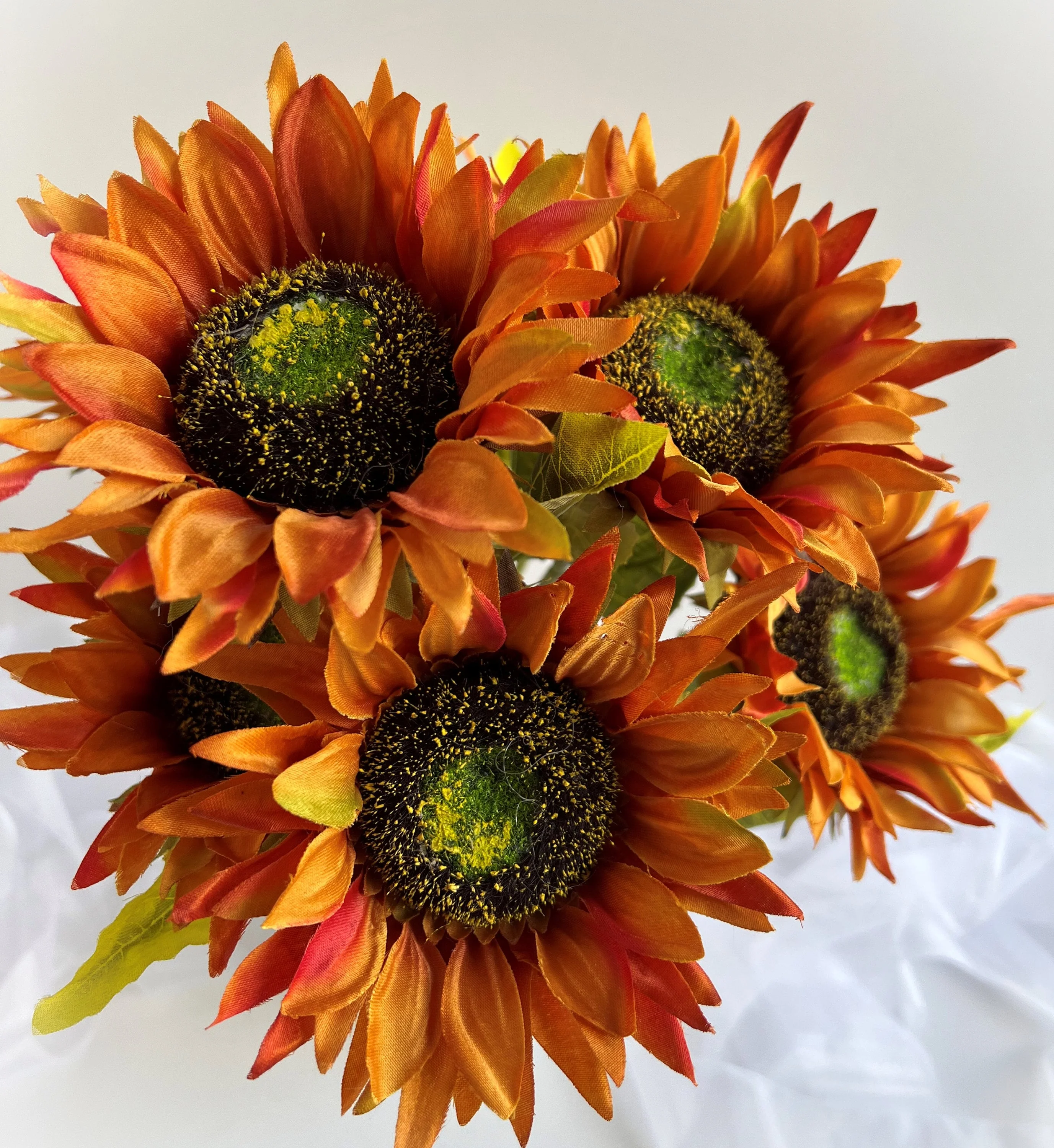 Golden Orange Sunflower Seeds – Rich, Vibrant Blooms for Gardens & Landscapes