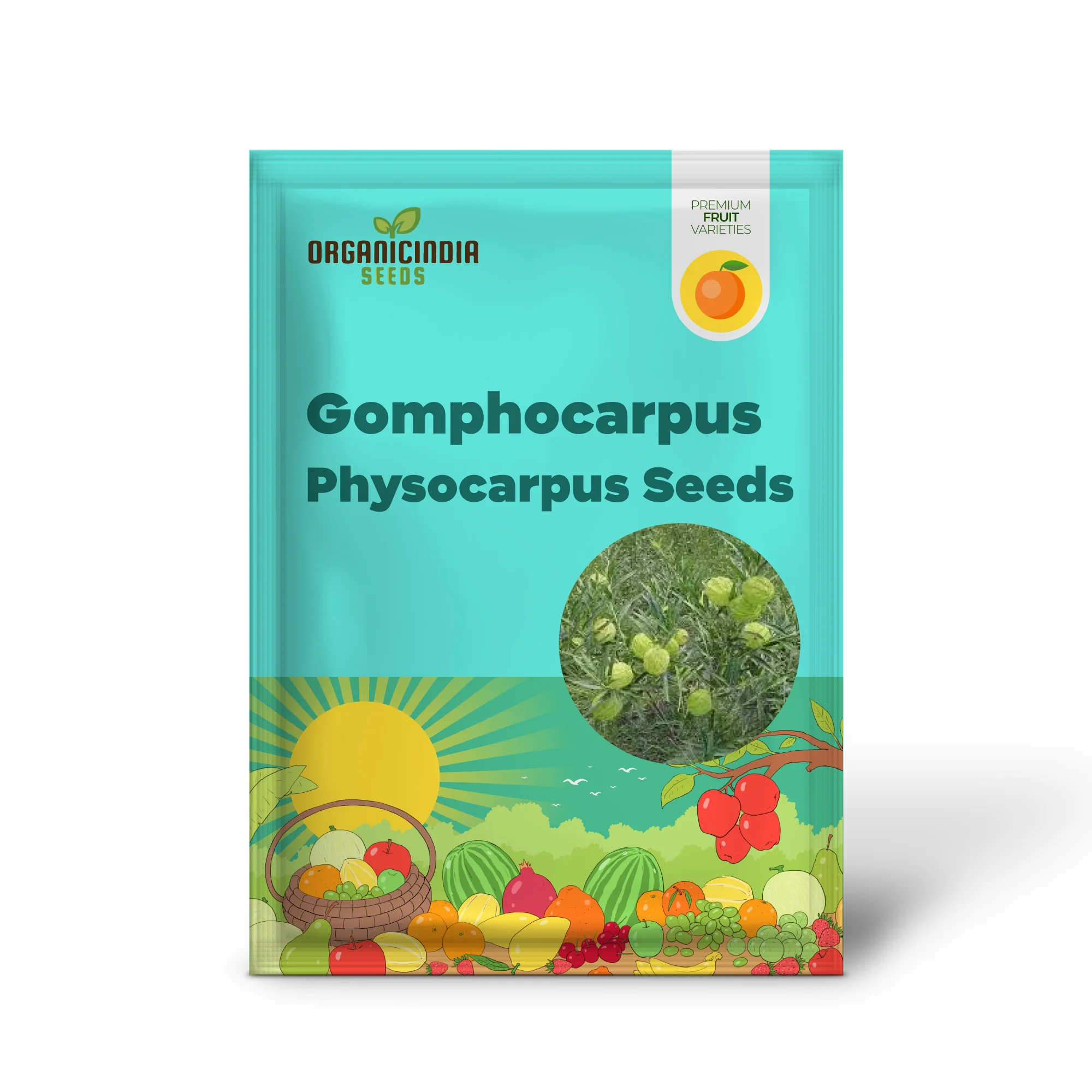 Gomphocarpus Physocarpus Seeds for Unique Gardening - Ideal for Garden Enthusiasts Looking to Add Unusual and Attractive Plants to Their Collection - Image 2