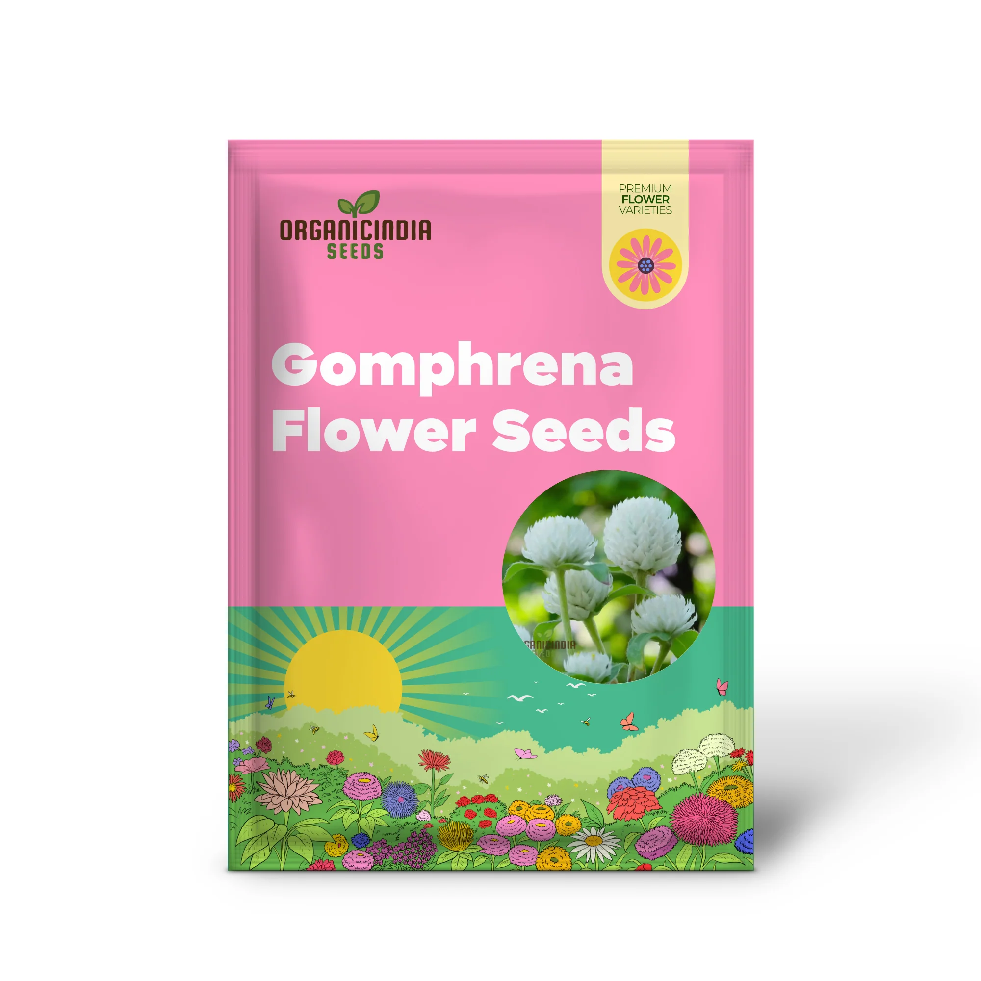 Gomphrena White Seeds – Premium Globe Amaranth Variety for Elegant Garden Blooms - Image 2