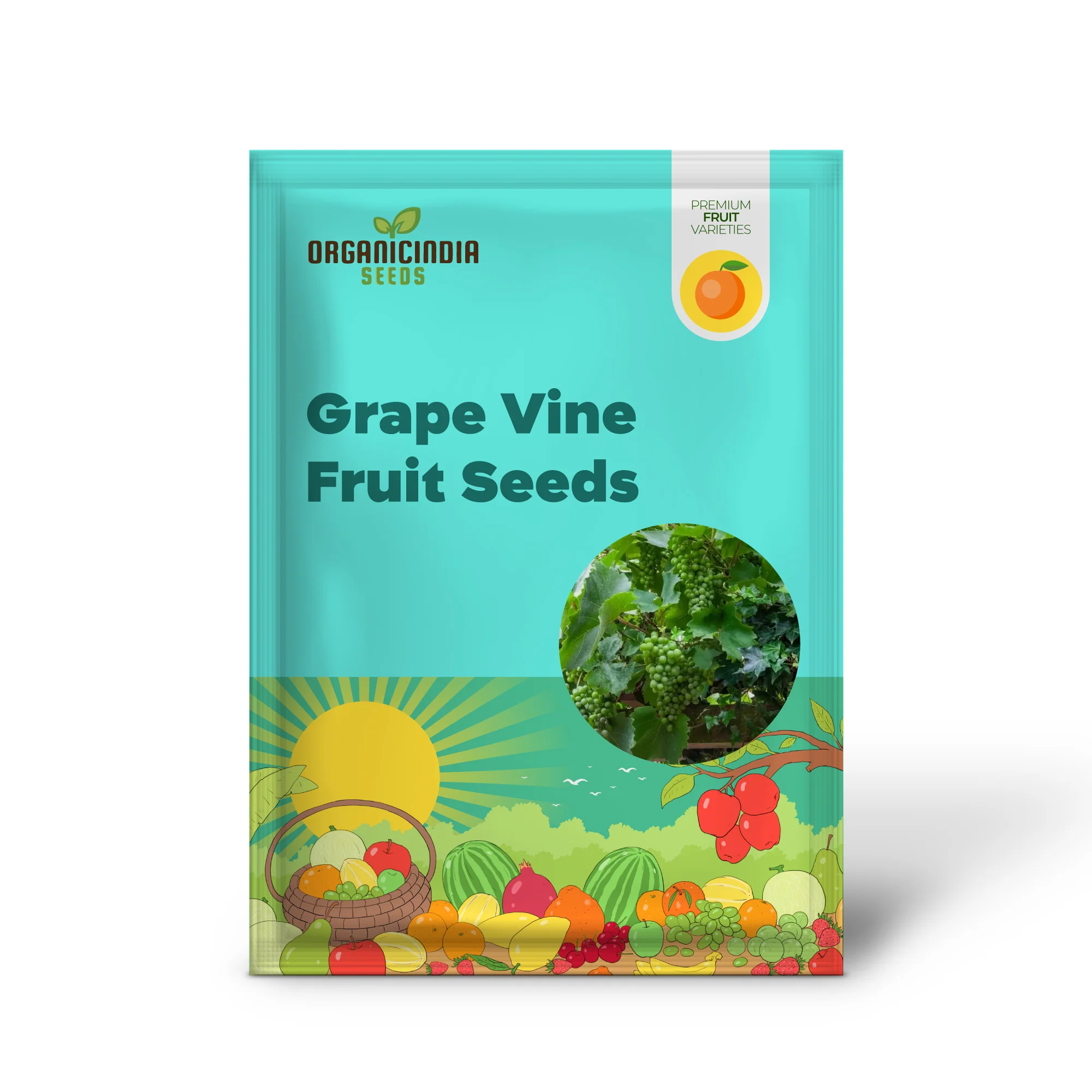 Grape Vine Fruit Seeds for Planting - Premium Quality Grapevine Seeds - Image 2