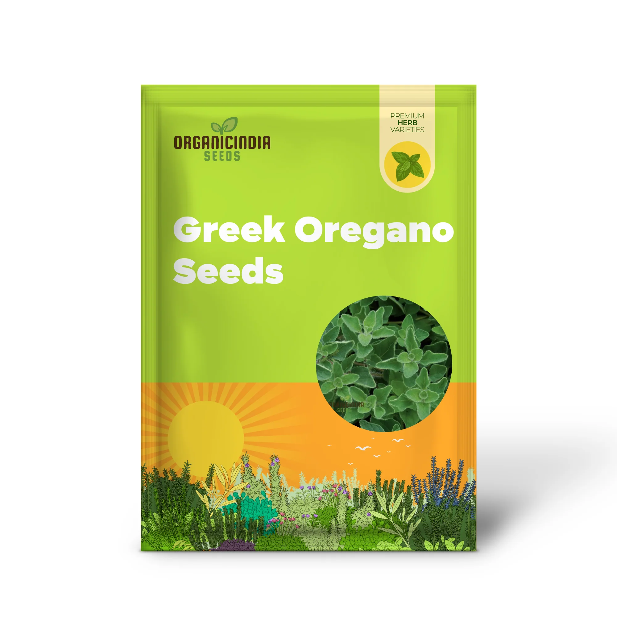 Greek Oregano Seeds – Premium Quality, High Germination & Easy Growing - Image 2