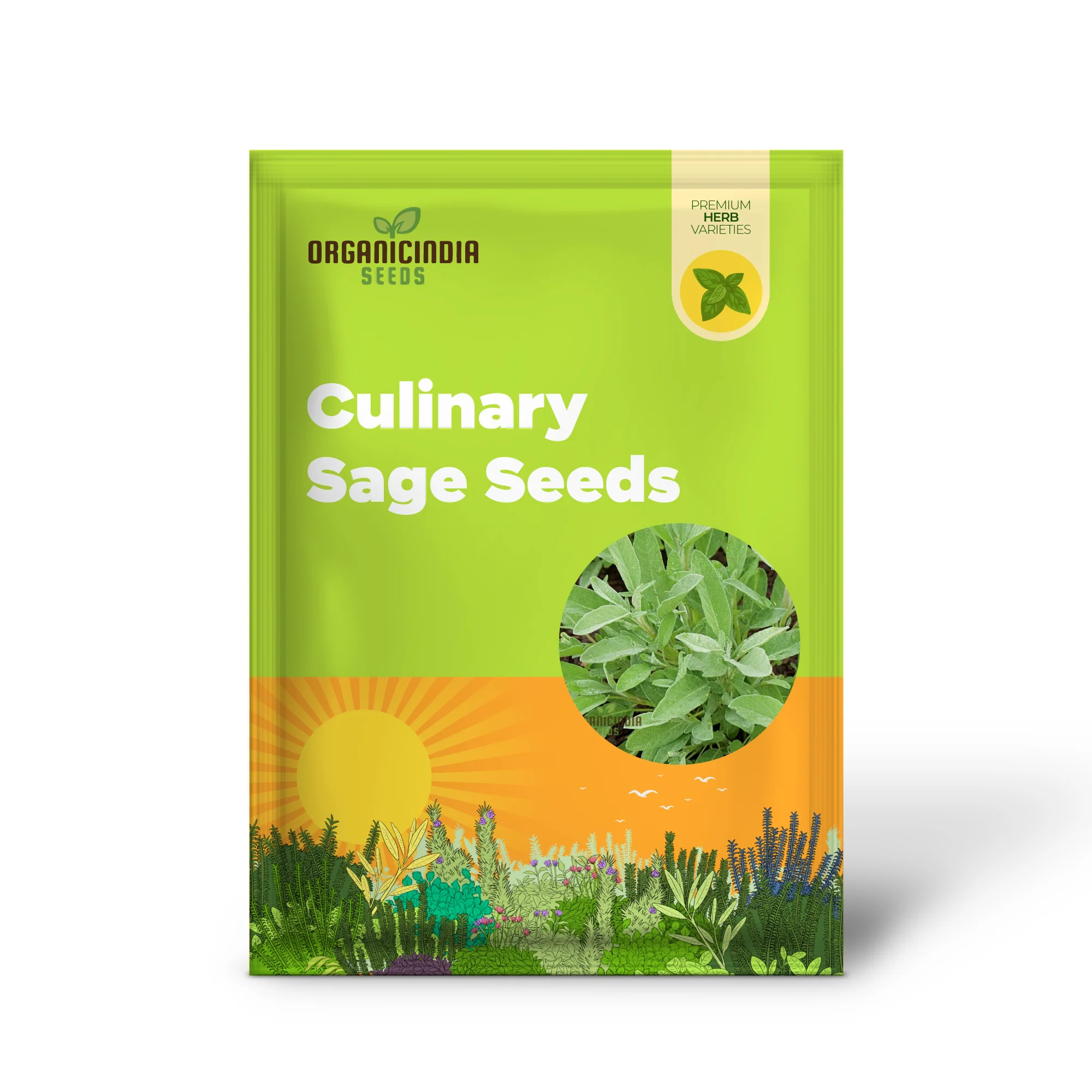 Green Culinary Sage Seeds – Aromatic Garden Herb for Cooking - Image 2