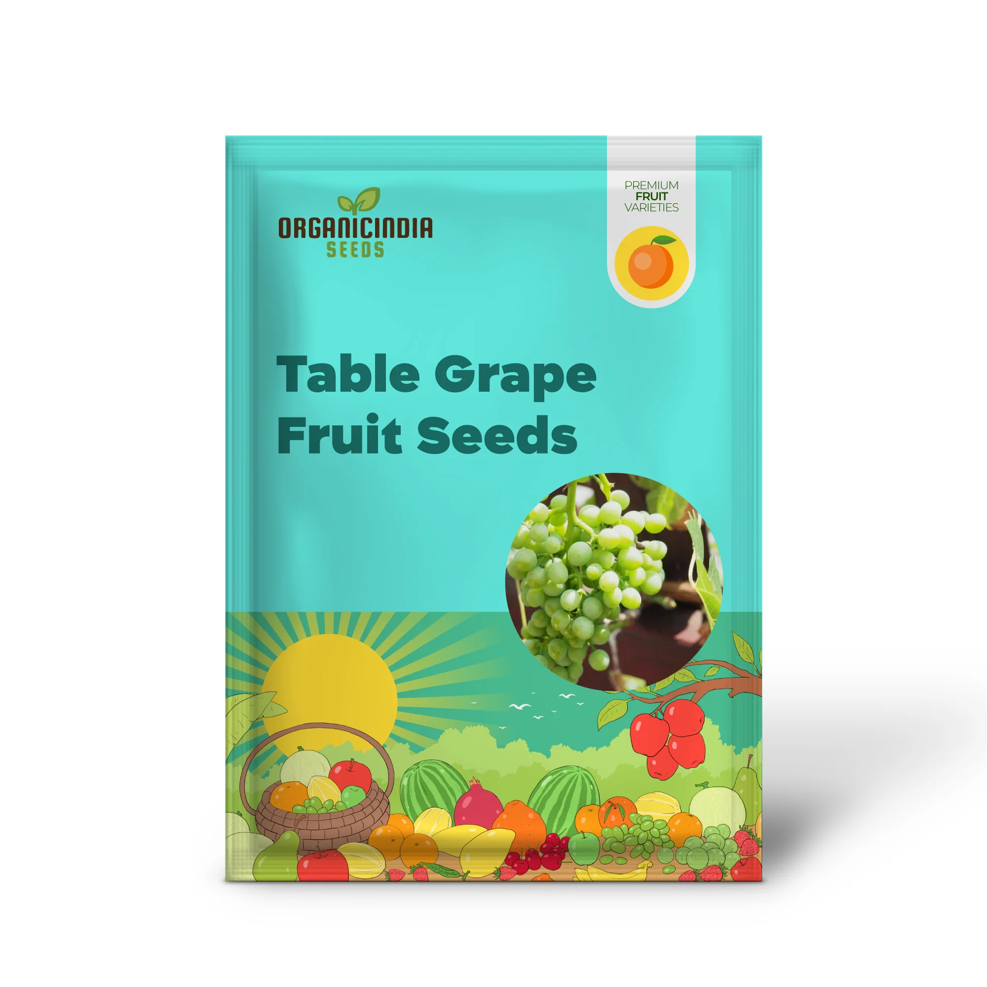 Green Dessert/Table Grape Fruit Seeds - Image 2