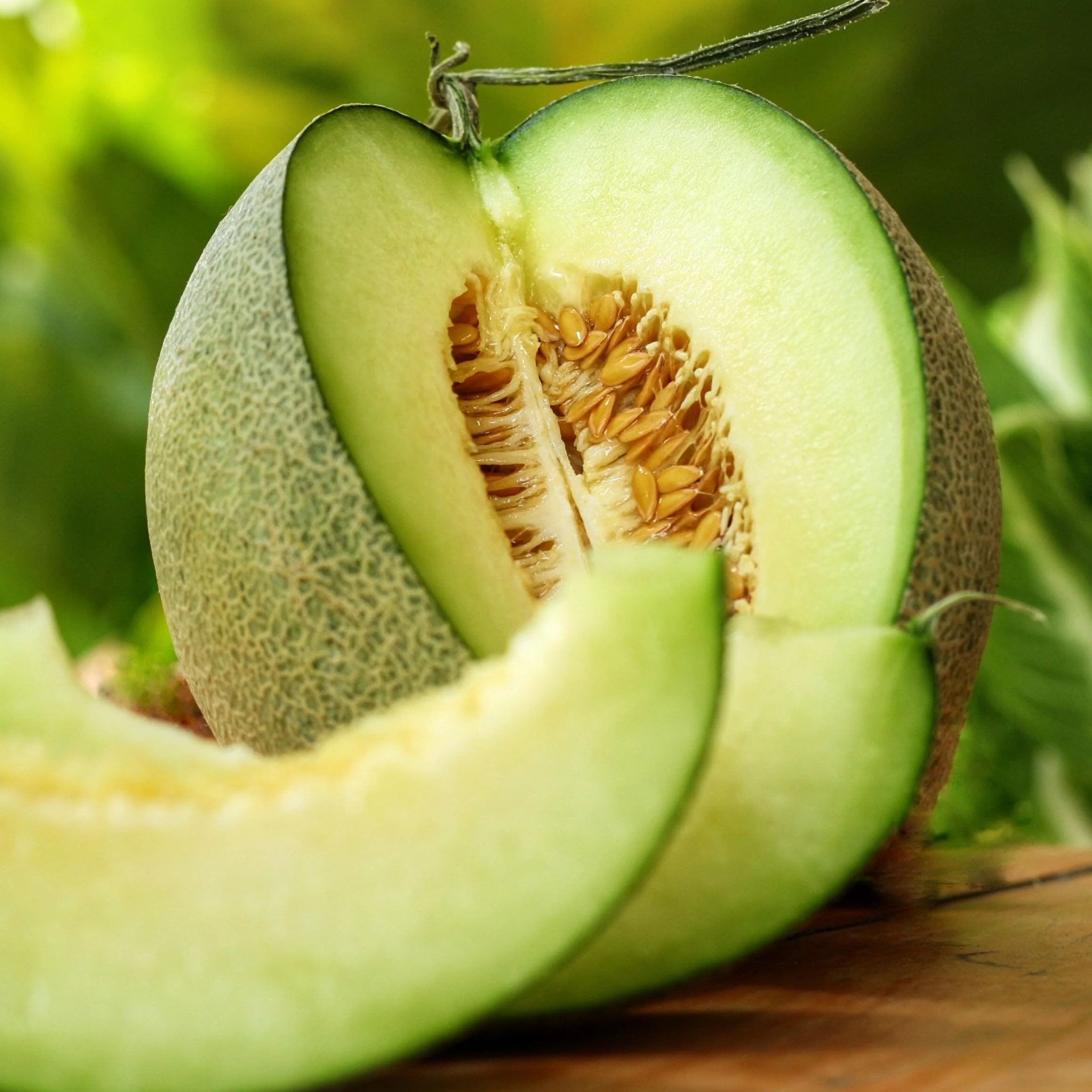 Green Flesh Rocky Ford Cantaloupe Seeds
