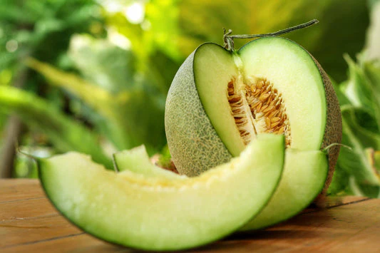 Green Flesh Rocky Ford Cantaloupe Seeds - Image 5