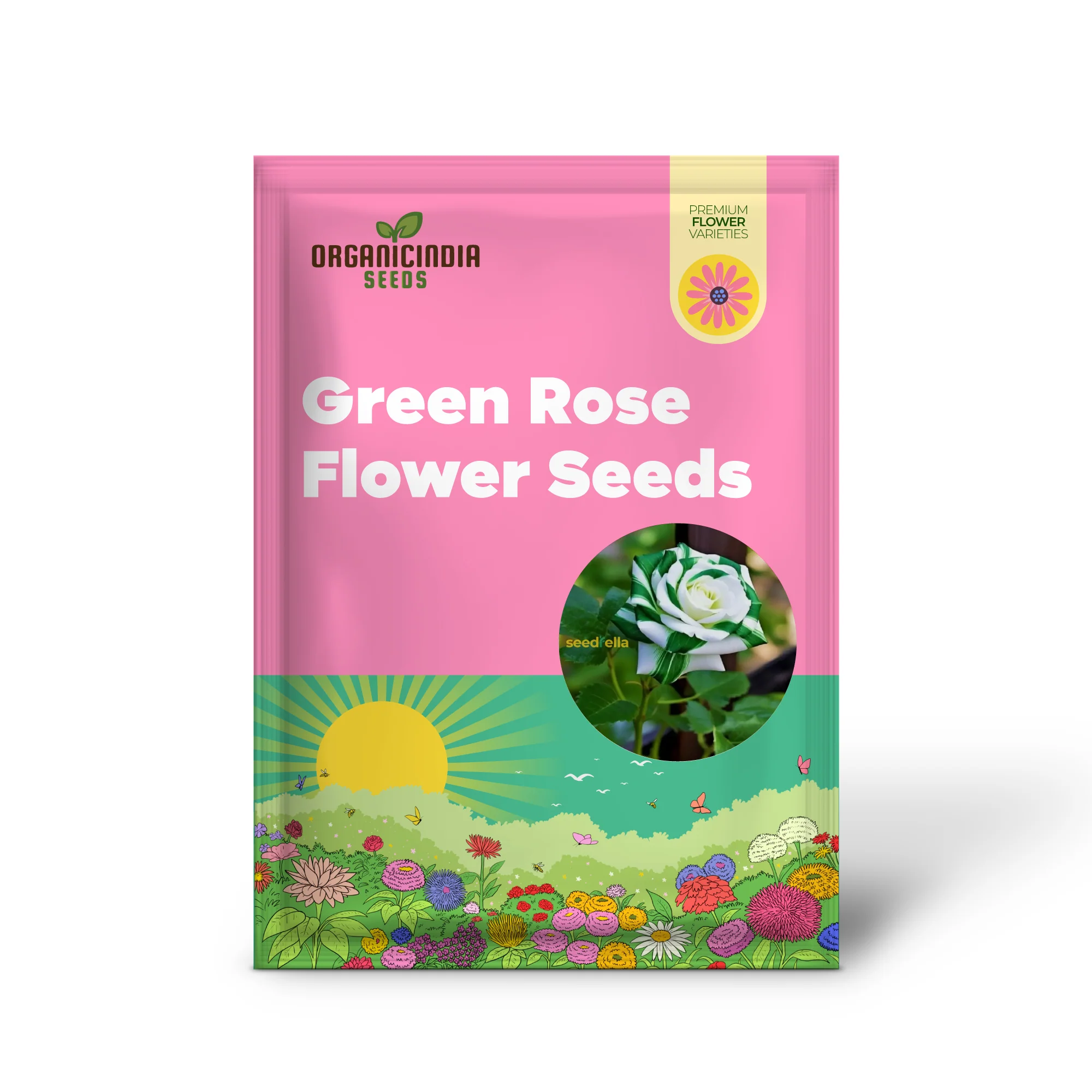 Rose Seeds (Green Rose Flower Seeds) - Green Blooms with Red Edges, Easy-Grow Perennial - Image 2