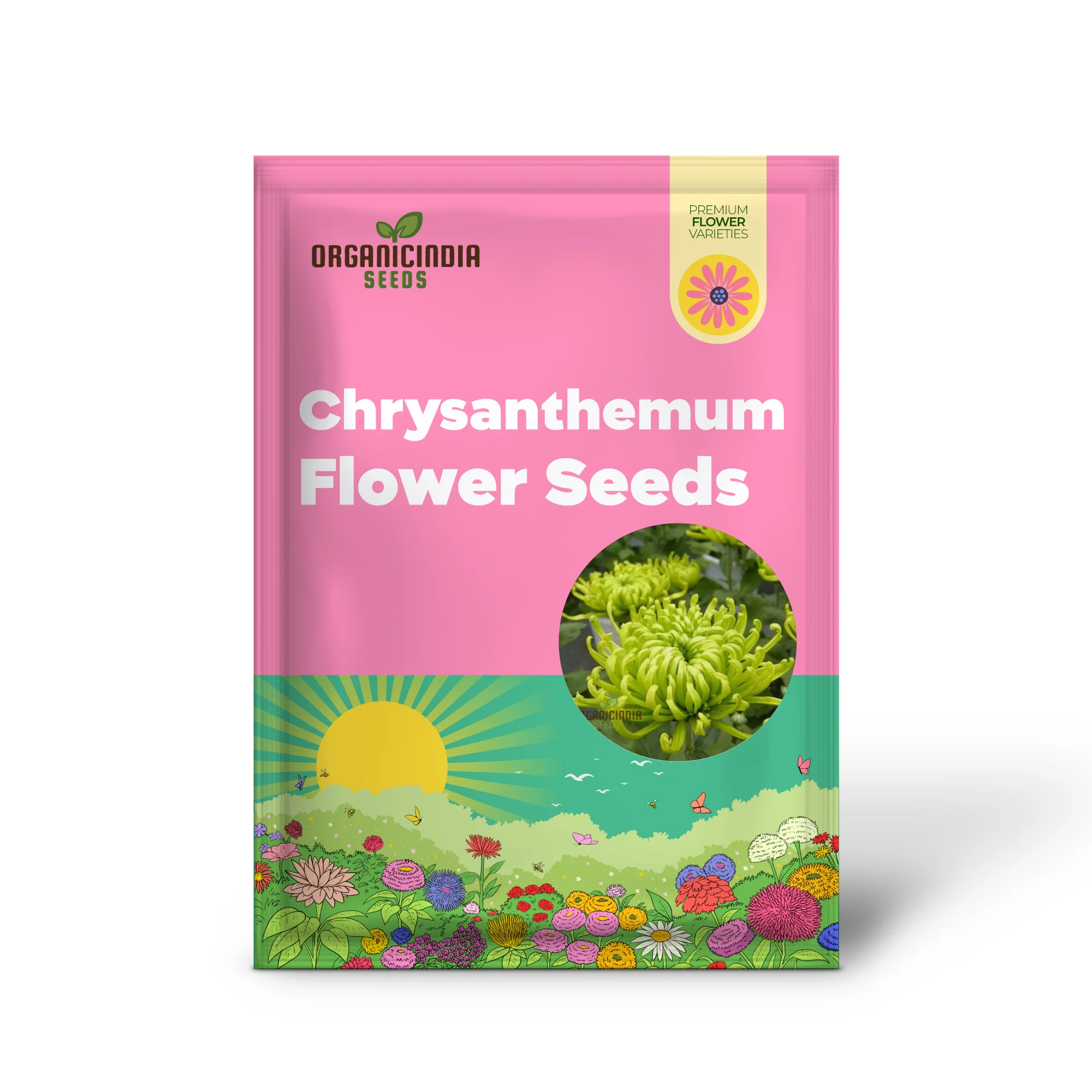 Green 'Spider' Chrysanthemum Flower Seeds, High-Quality Flower Seeds for Planting and Gardening - Cultivate Unique and Vibrant Blooms - Image 2