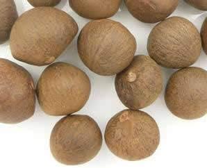 Green Tea Plant Seeds  Camellia Sinensis  Tea Plant, Tea Tree  Seeds for Growing Your Own Tea - Image 6