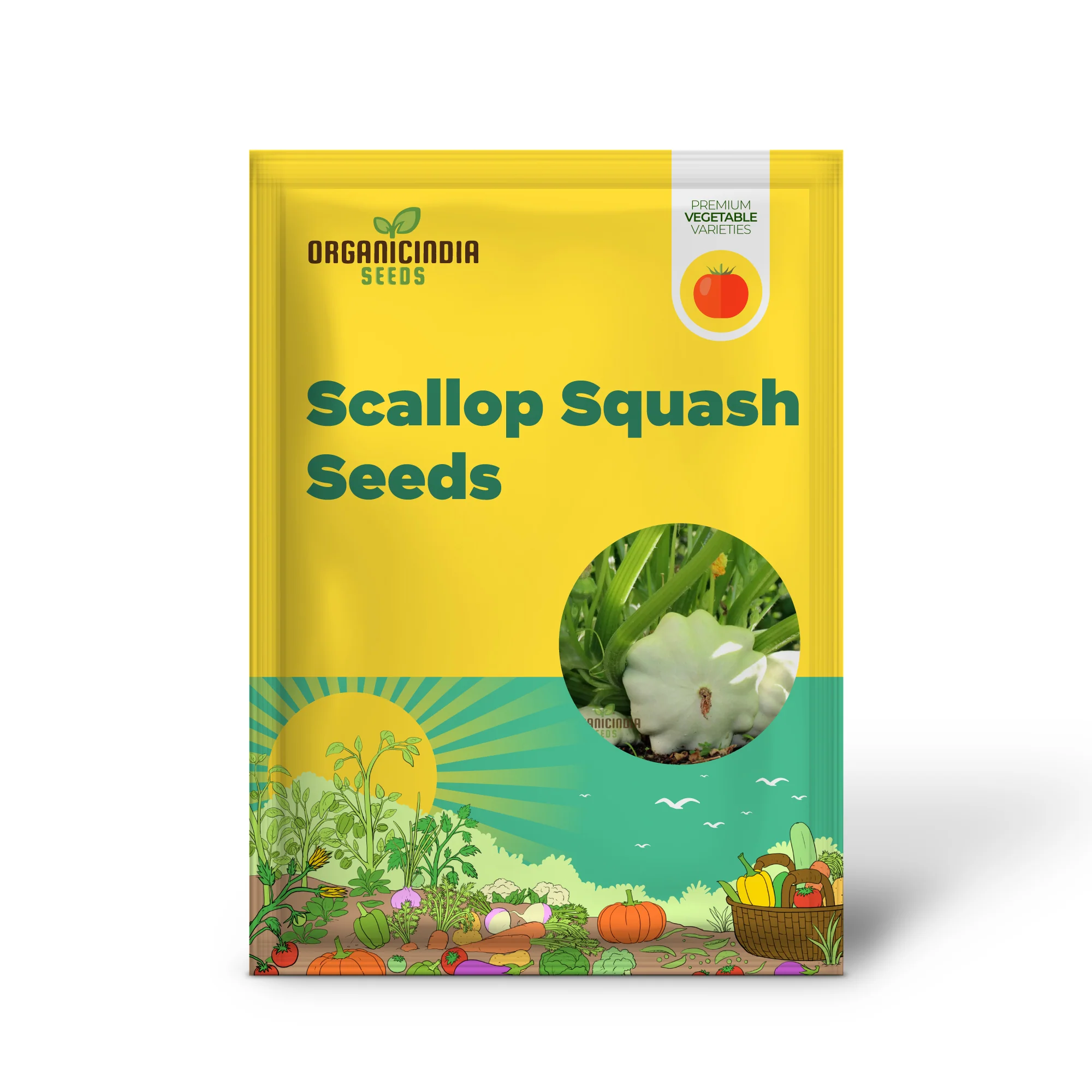 Green Tint Bush Scallop Squash: Ideal for Garden Enthusiasts - Image 2