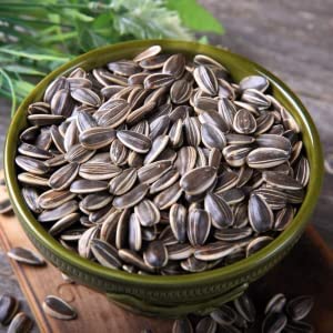 Cherry Chocolate Sunflower Seeds – Vibrant Garden Blooms - Image 5