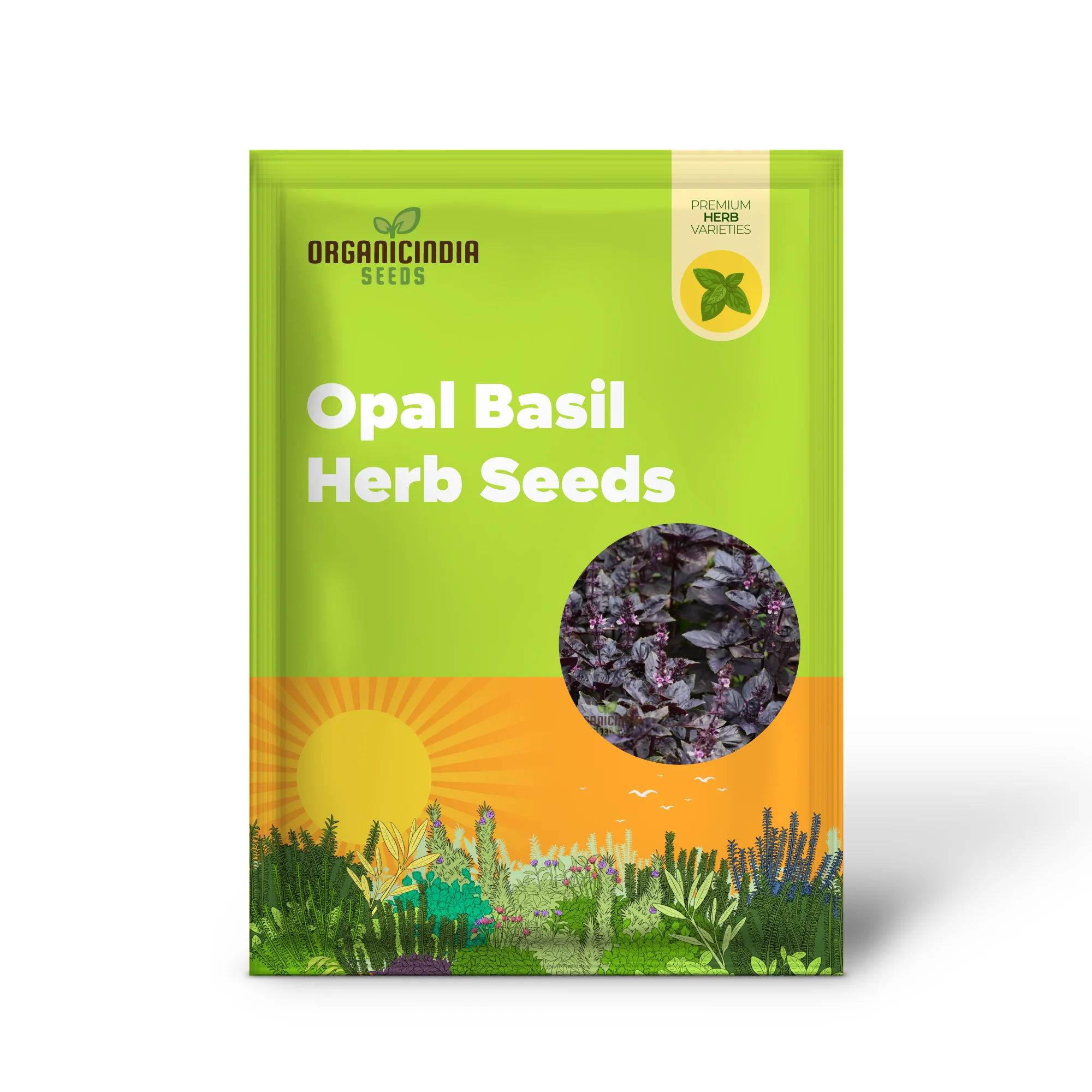 Purple Dark Opal Basil Seeds – Heirloom Aromatic Herb for Culinary & Ornamental Gardening - Image 2