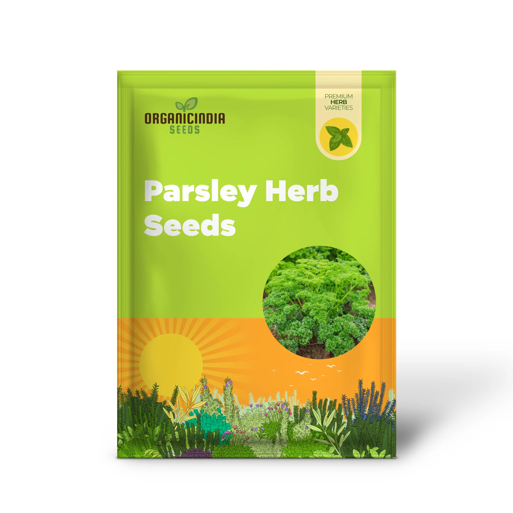Green Parsley Herb Seeds – Fresh, Flavorful, Easy-Growing Culinary Herb for Home & Garden - Image 2