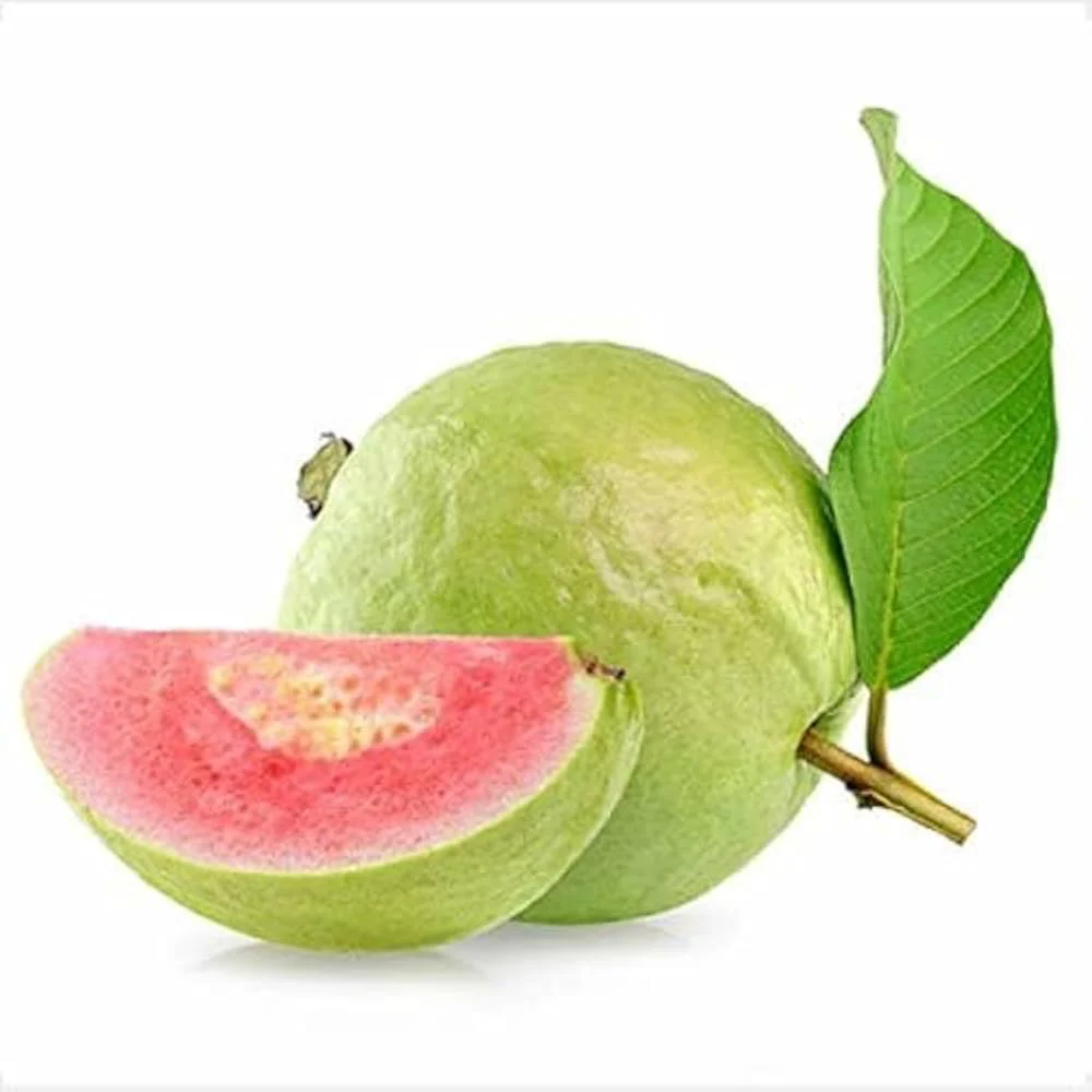 Guava Fruit Seeds - Image 5