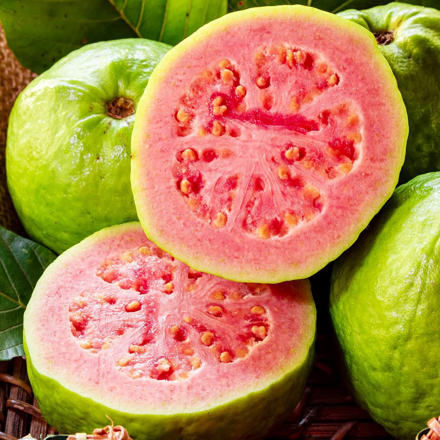 Guava Seeds - Red Psidium Guajava, Perennial Sweet & Fragrant Tropical Fruit - Image 5