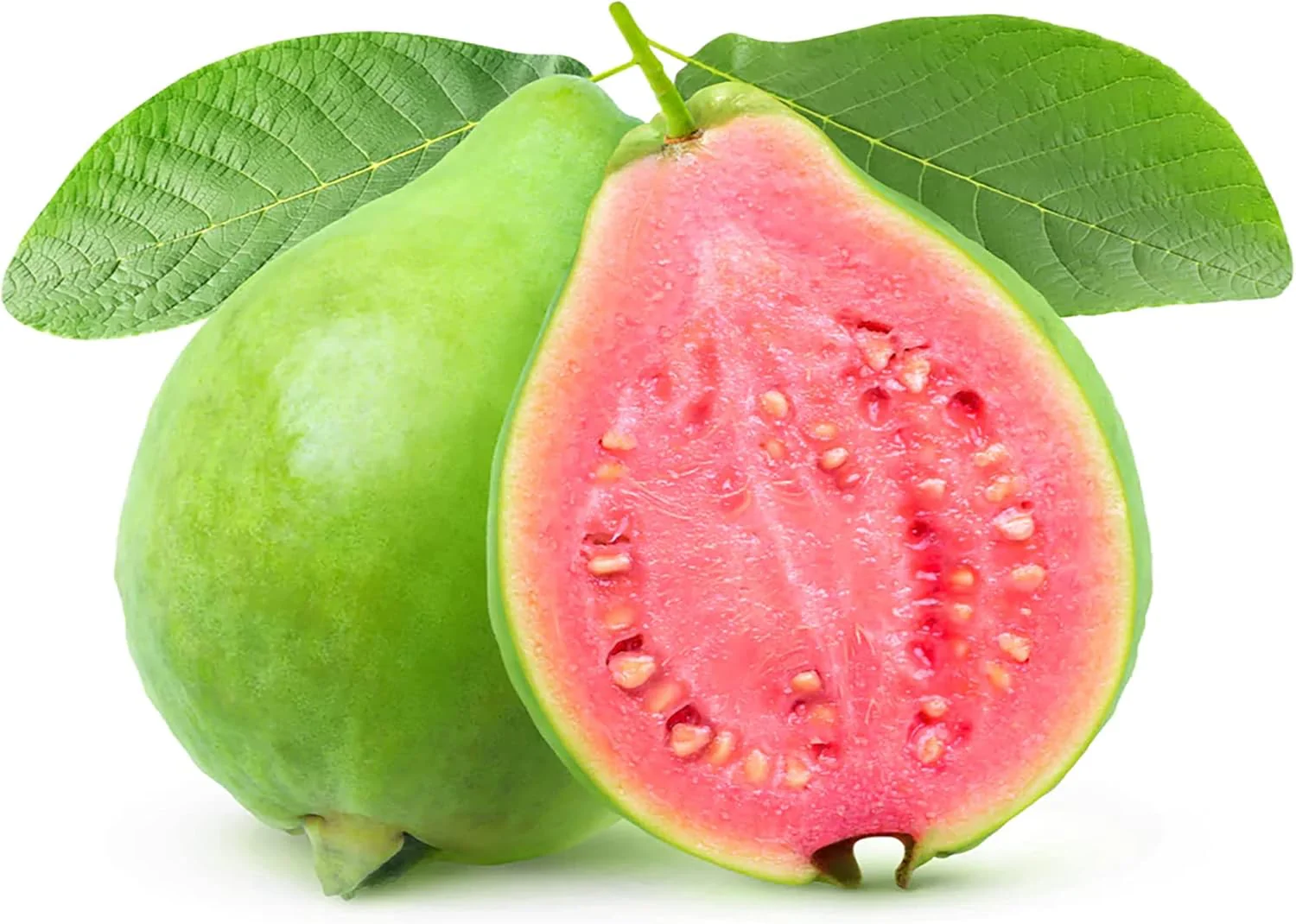 Guava Seeds - Red Psidium Guajava, Sweet Fragrant Tropical Fruit Seeds, Perennial – 50 Pcs - Image 7