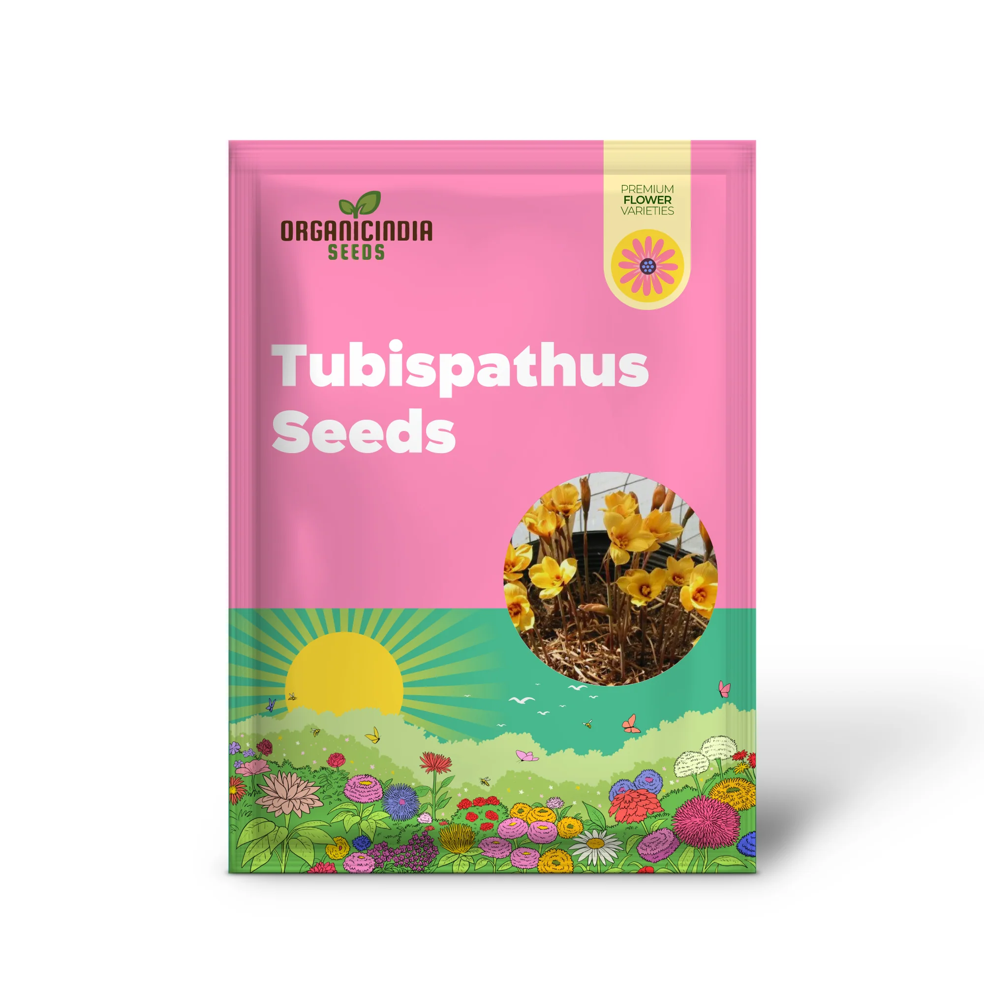 Habranthus Tubispathus Seeds for Planting: Exquisite Flowering Garden Addition – Rare Flower Seeds - Image 2