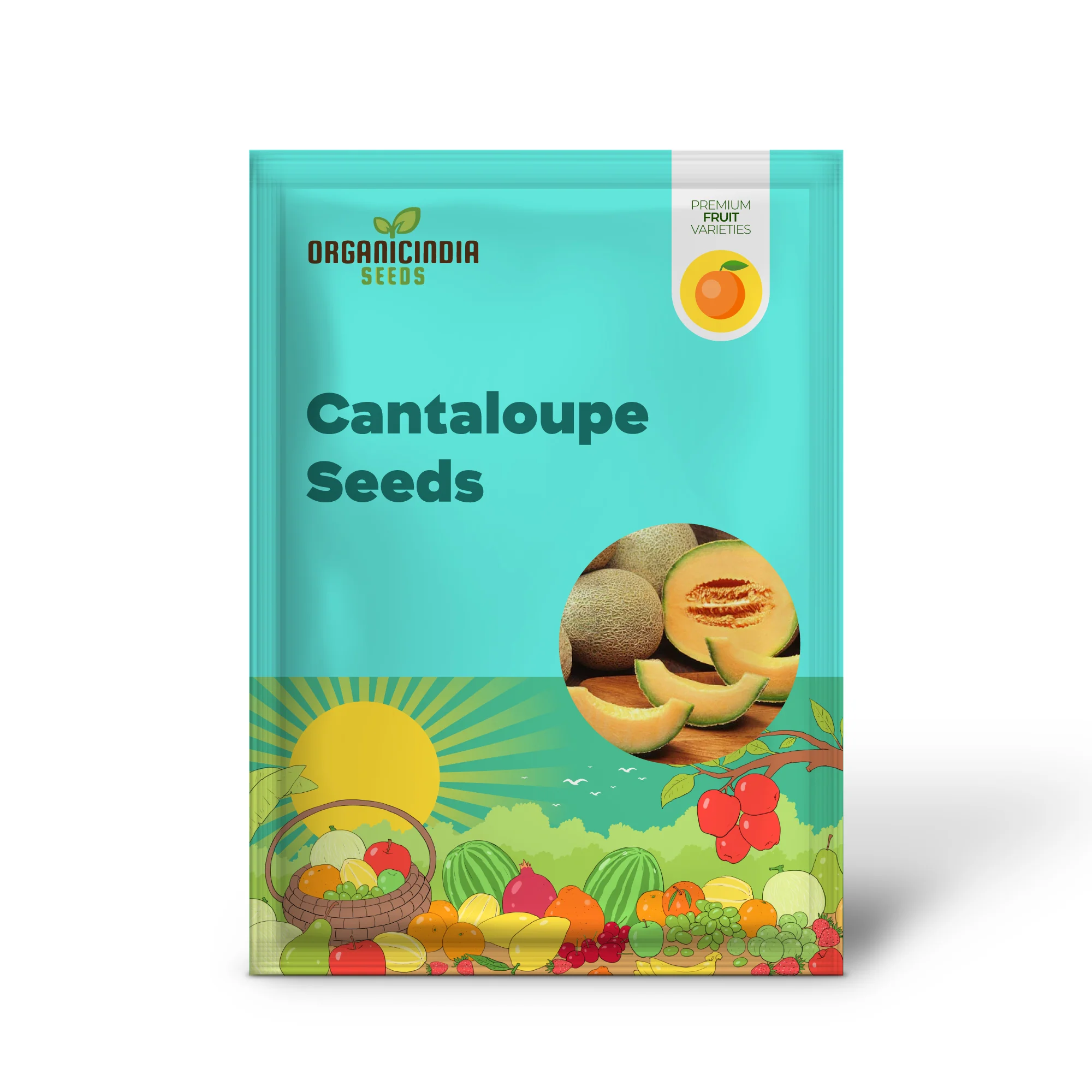 Hale's Best Jumbo Cantaloupe Seeds - Image 2