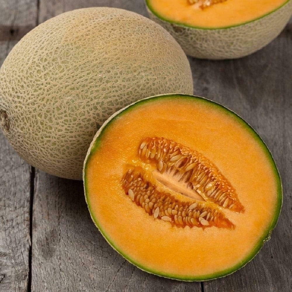 Hale's Best Jumbo Cantaloupe Seeds - Image 3