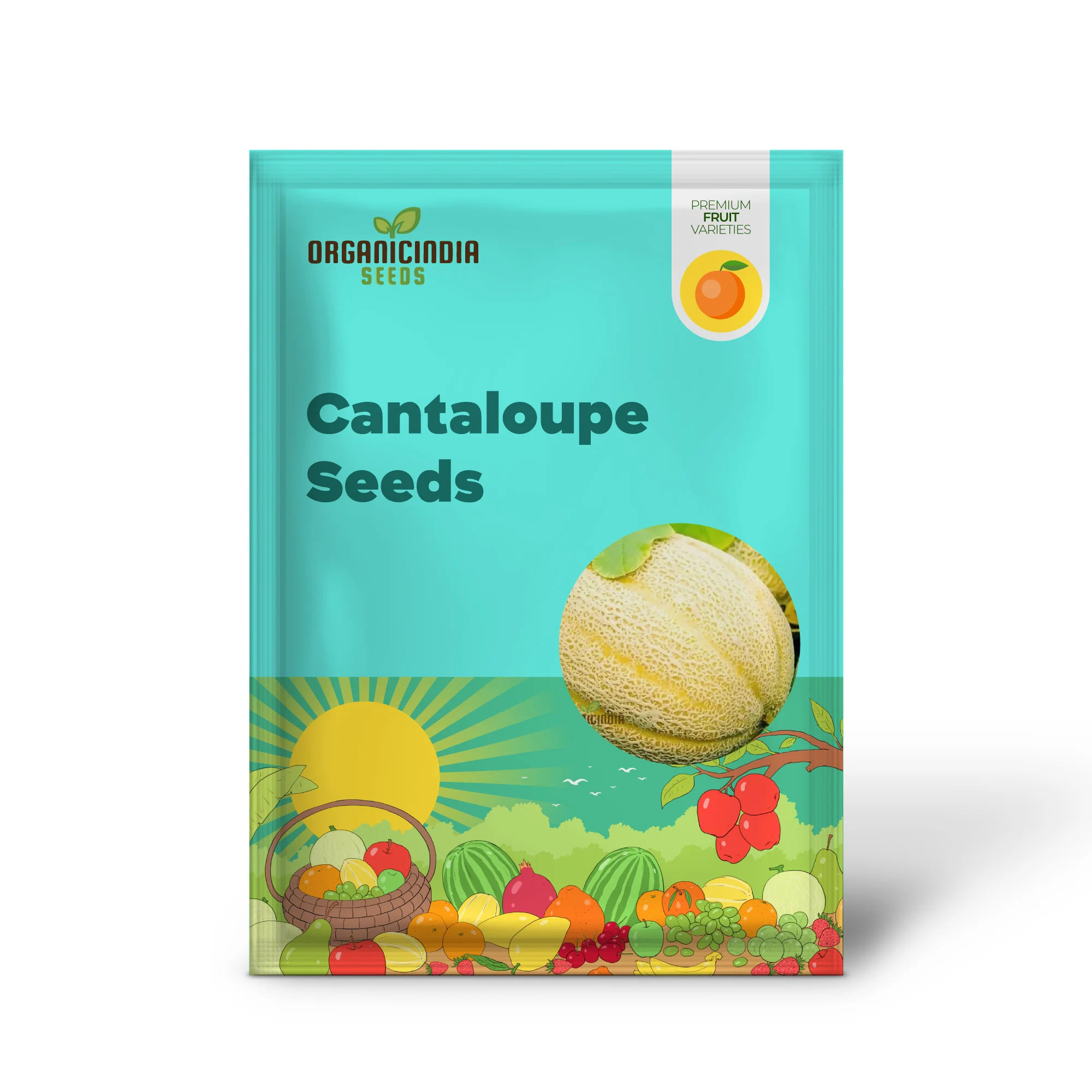Hale's Best Jumbo Organic Cantaloupe Seeds for Planting - Premium Quality Seeds for Your Garden - Image 3