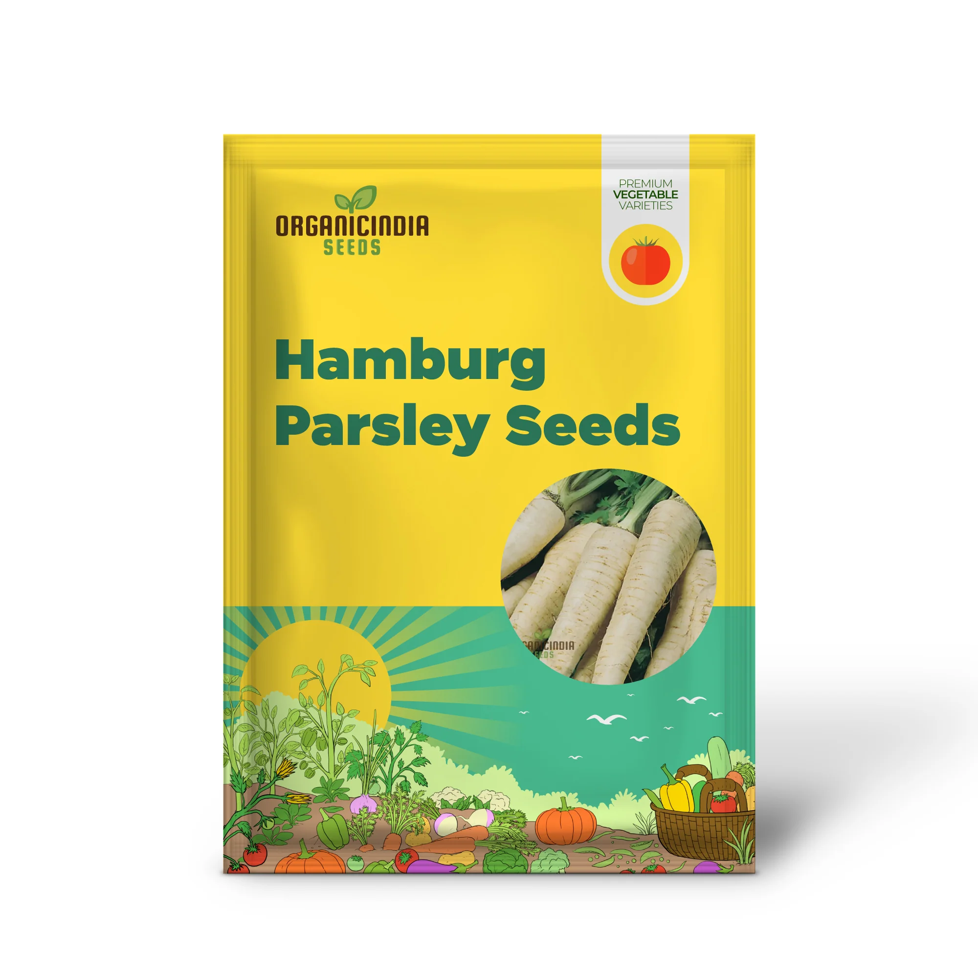 Hamburg Parsley Vegetable Seeds for planting, Heirloom Quality Seeds for Home Garden - Image 2