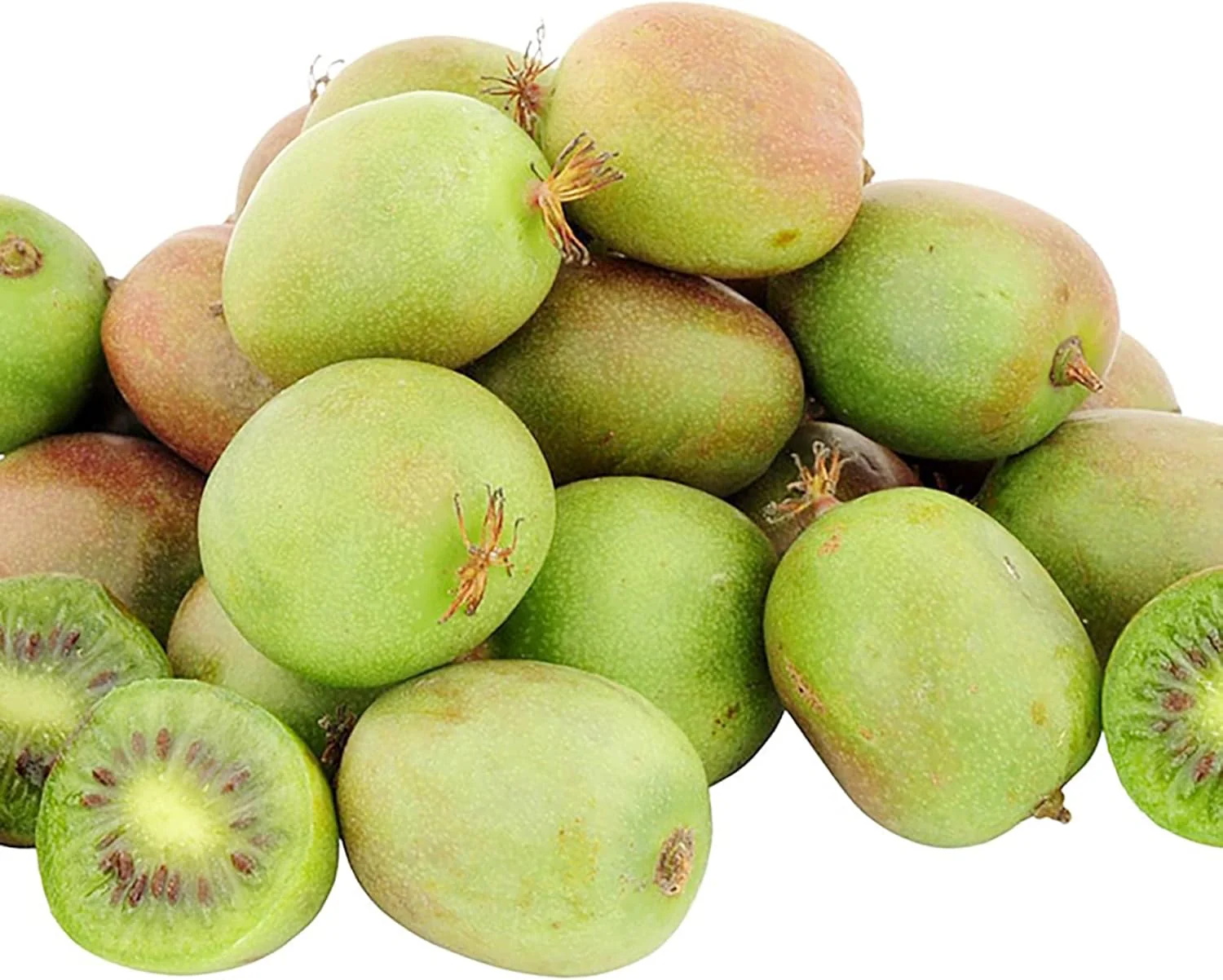 Hardy Kiwi Seeds - Actinidia Arguta Perennial Climber for Trellises & Fences, GMO-Free, Fragrant Fruit & Berries - 10Pcs Fruit Seeds - Image 3