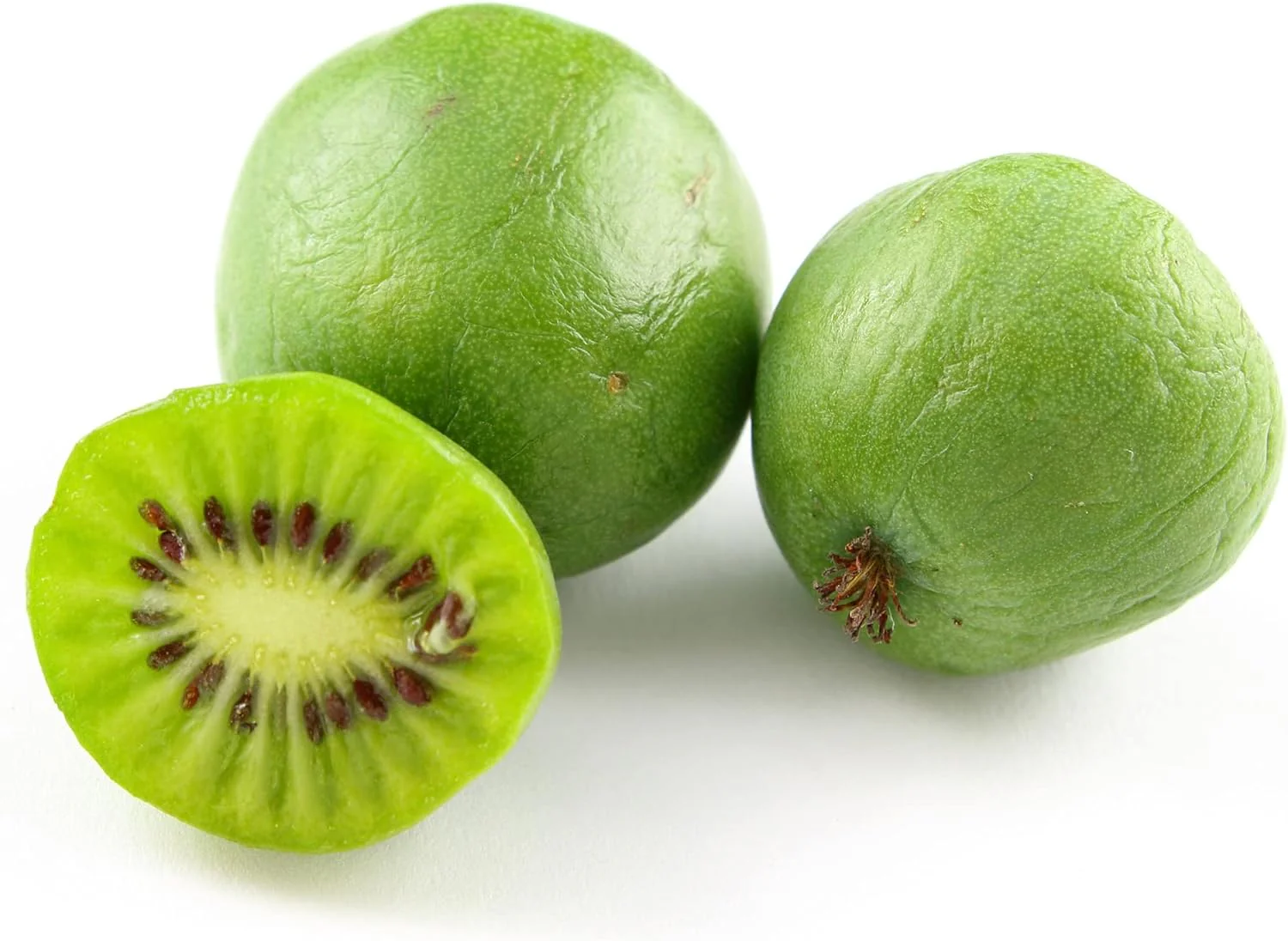 Hardy Kiwi Seeds - Actinidia Arguta Perennial Climber for Trellises & Fences, GMO-Free, Fragrant Fruit & Berries - 10Pcs Fruit Seeds - Image 4