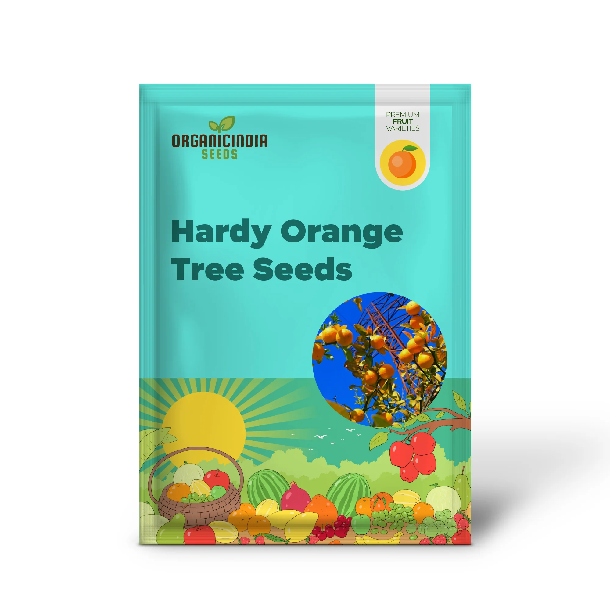 Hardy Orange Tree Seeds - Image 2