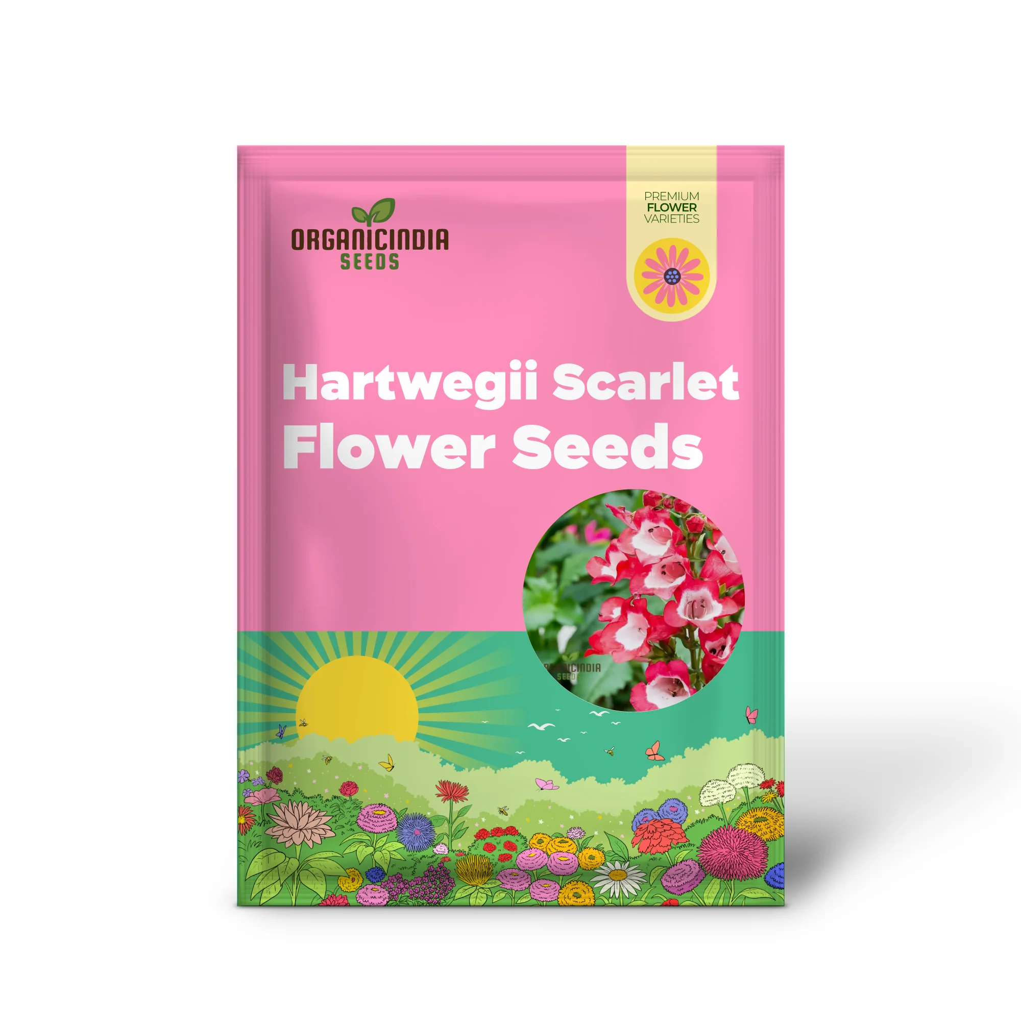 Hartwegii Scarlet Queen Flower Seed for Planting, Penstemon Hartwegii Seeds, Red Herb Flower Seed - Non-GMO Heirloom Flower Seeds - Image 2