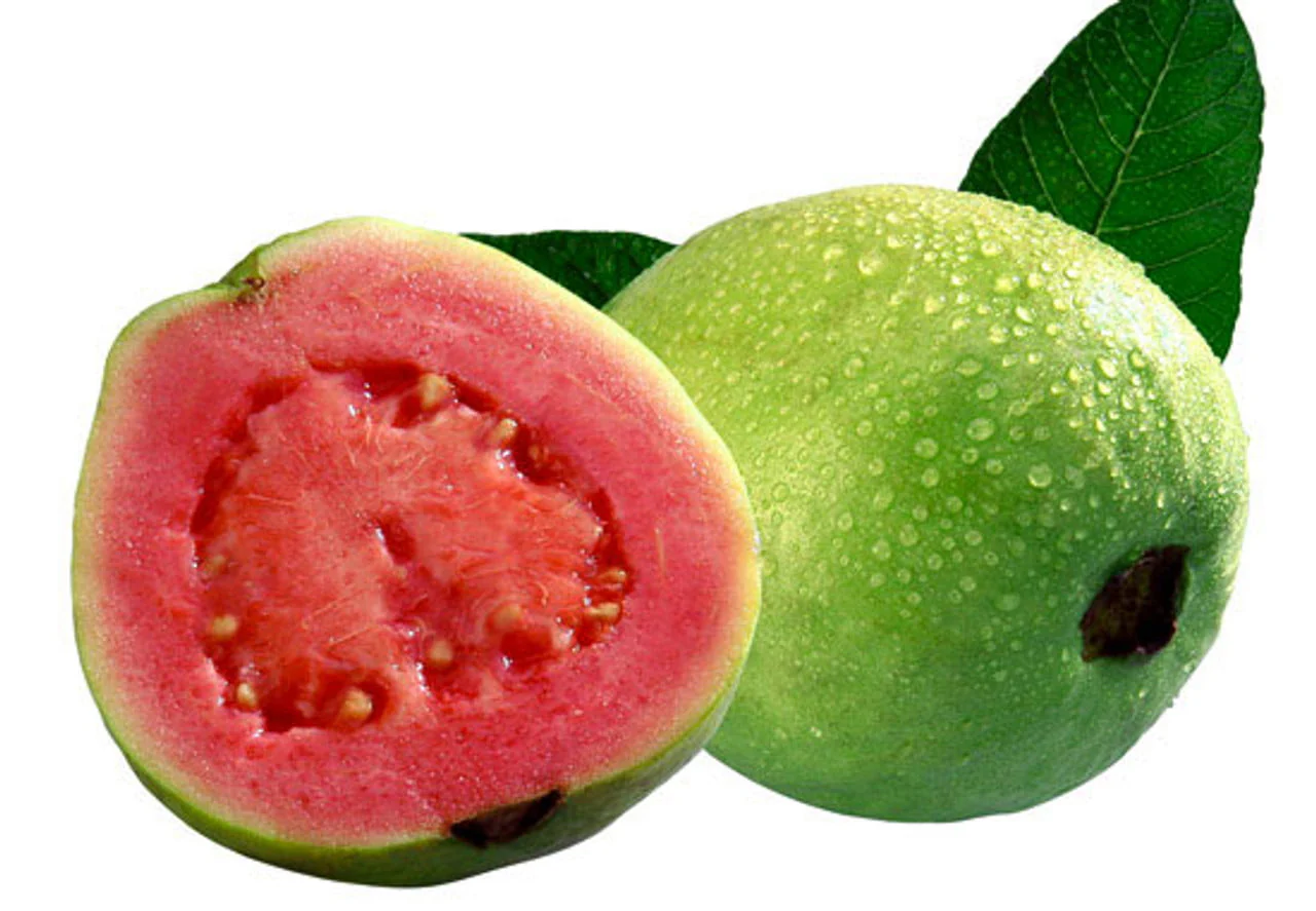 Hawaiian Guava Seeds – Sweet & Tropical Fruit for Planting - Image 2