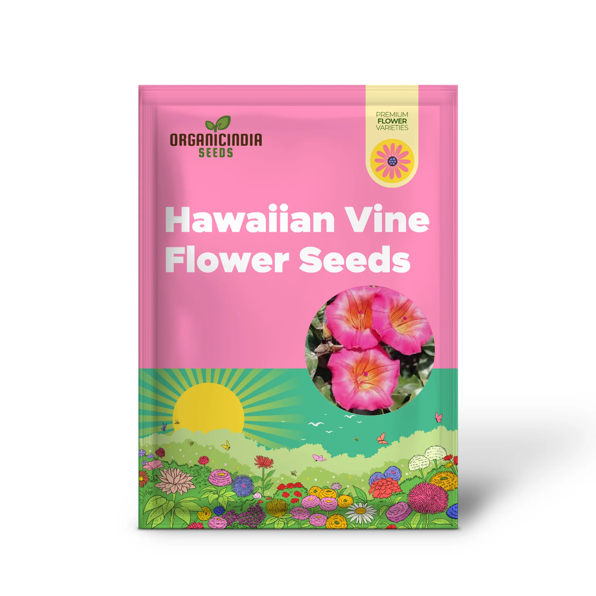 Hawaiian Sunset Vine Flower Seeds for Vibrant Tropical Gardening, Perfect for Lush Gardens - Image 2