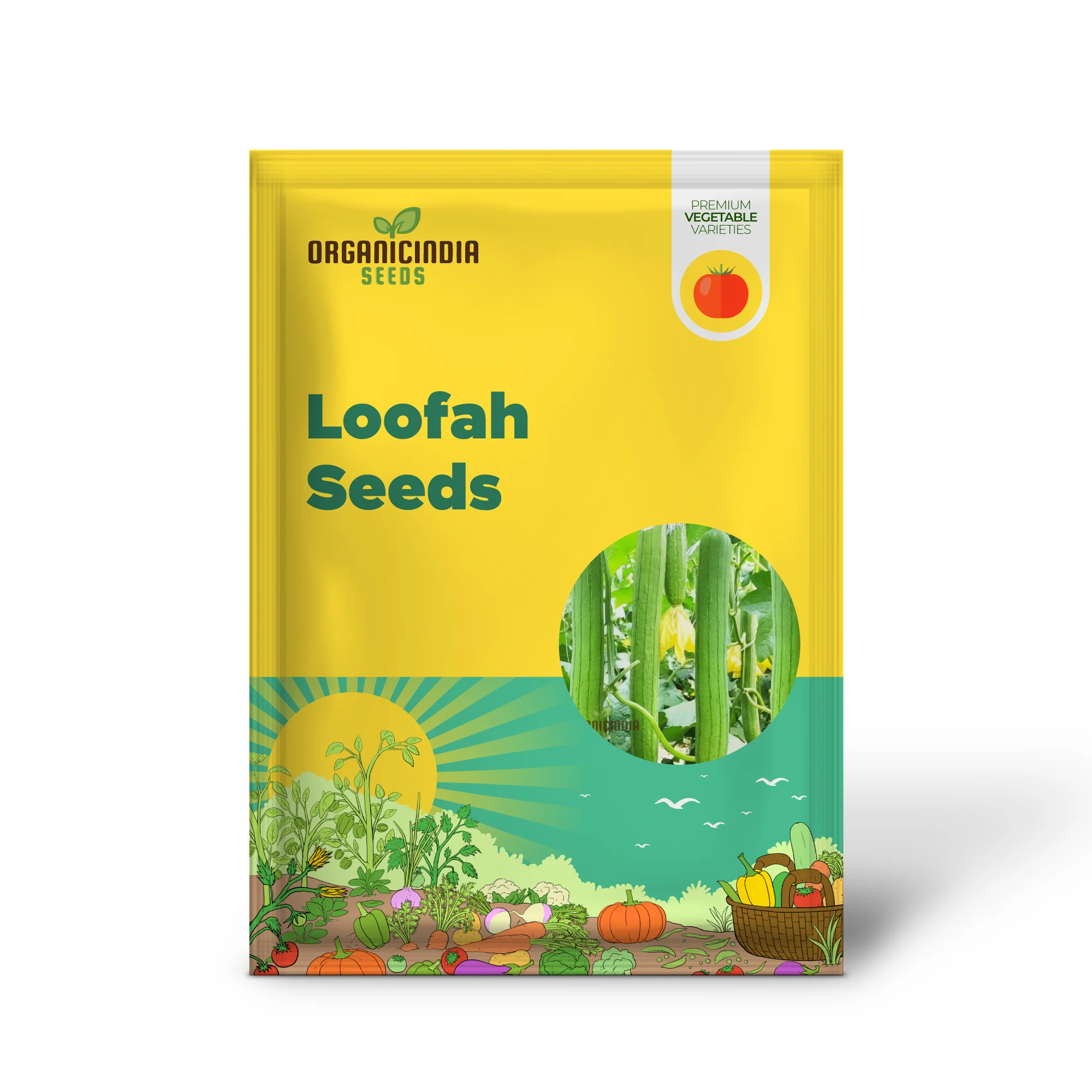 Resilient Loofah Seeds, Heat and Cold Tolerant for Year-Round Growth - Image 2