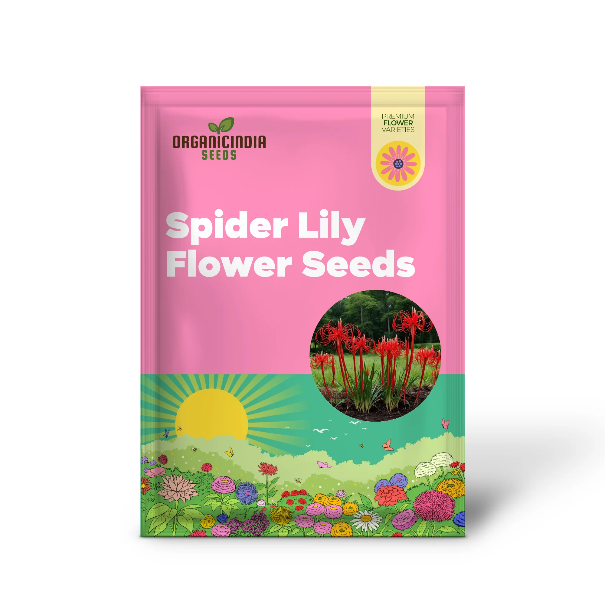 Heirloom Red Spider Lily Flower Seeds, Bulbs Lycos's Radiata Bulbs for Fall Planting(3 Pcs) - Image 2