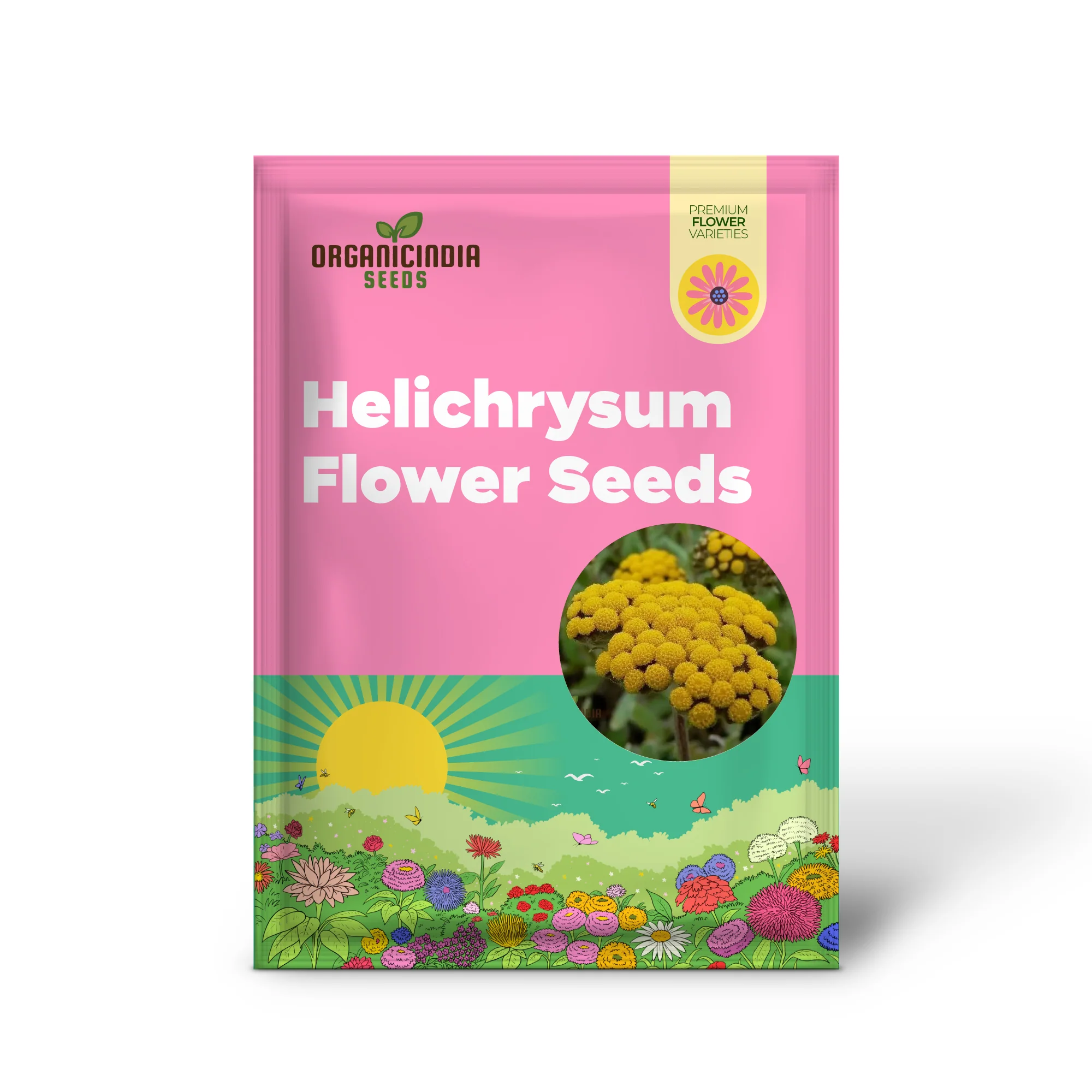 Helichrysum Flower Seeds for Gardening Enthusiasts - Perfect for Home Planting Projects - Image 2