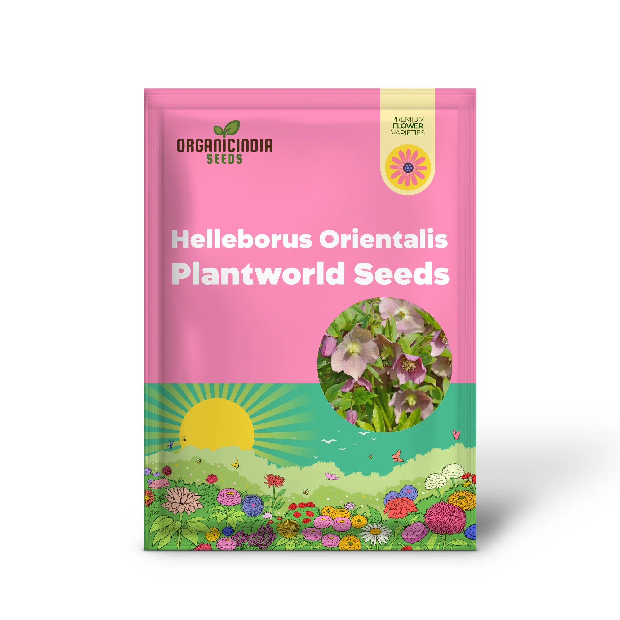 Helleborus Orientalis Plantworld Doubles Seeds | Exquisite Gardening Delight for Your Home Garden - Image 2