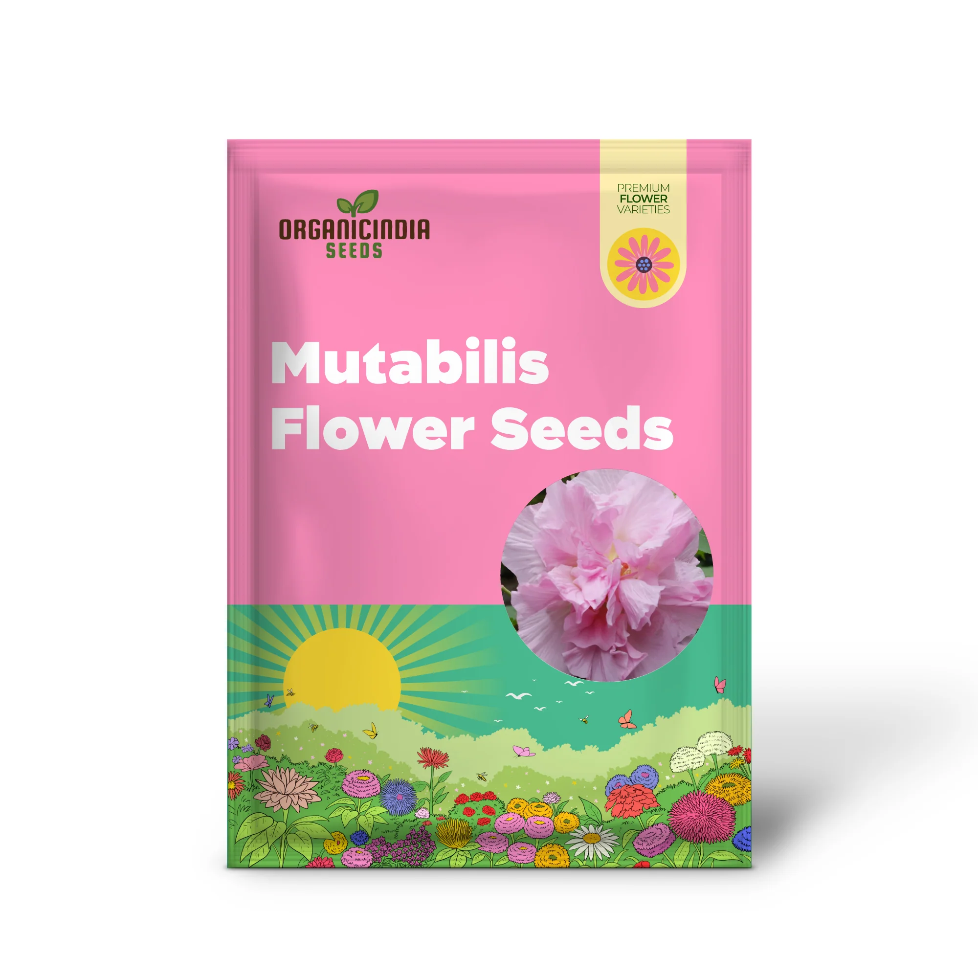 Hibiscus Mutabilis Seeds – Confederate Rose Double Pink Blooms - Image 2
