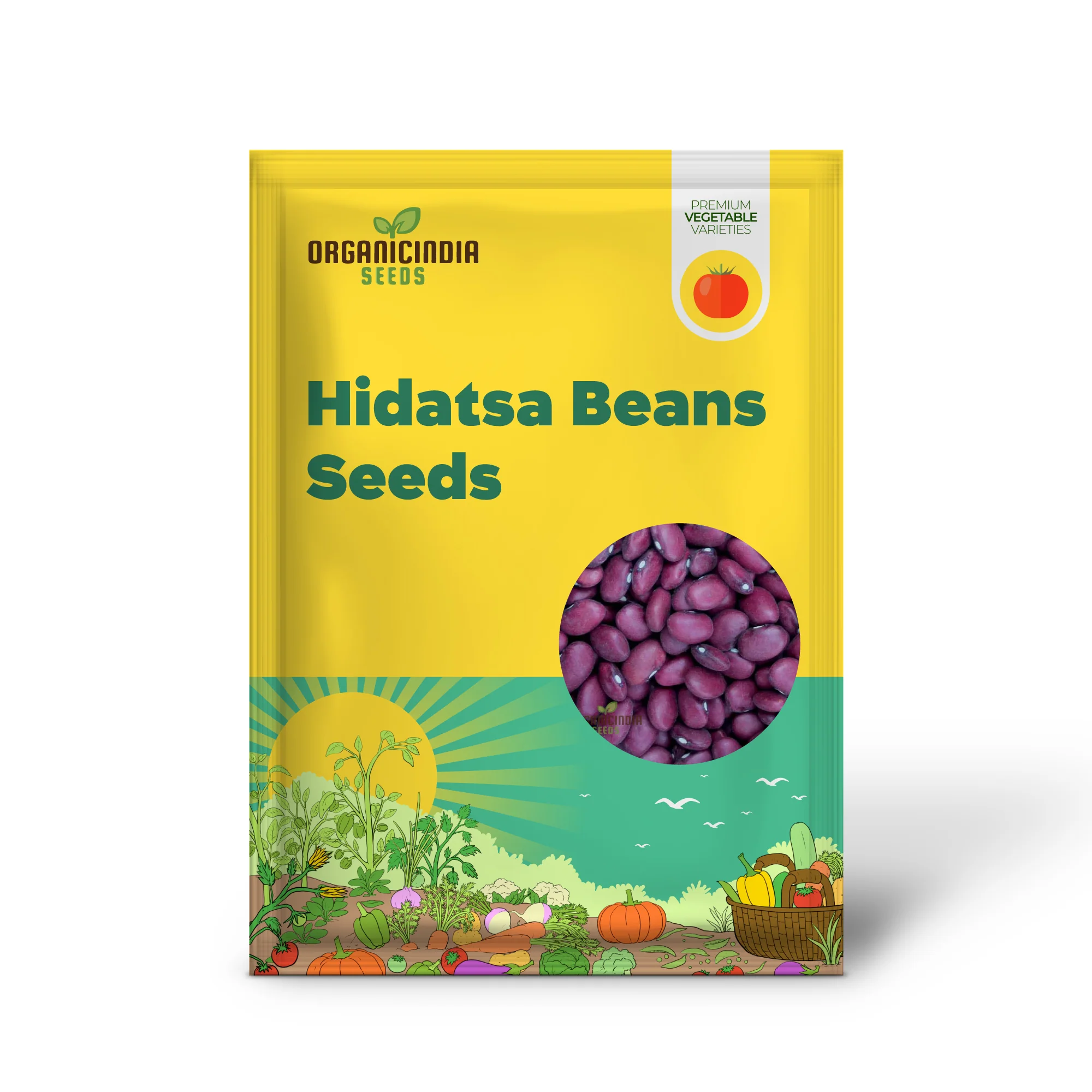 Hidatsa Red Beans Seeds For Planting: Heirloom Gardening Delight for Your Sustainable Garden - Image 2