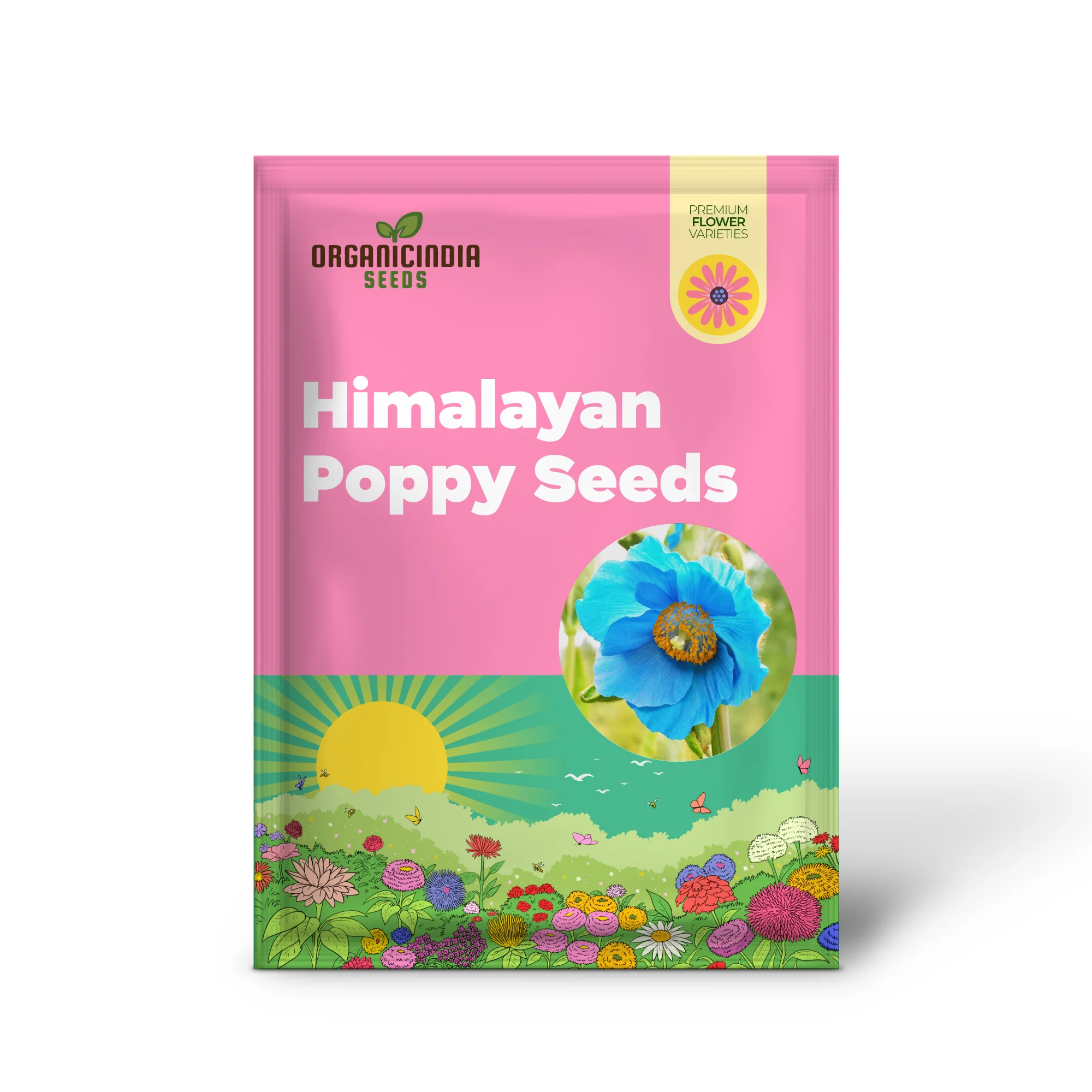 Himalayan Blue Poppy Seeds - Captivating Vivid Blue Flowers, Short-Lived Perennials for Shaded Borders & Woodland Gardens, 20Pcs Flower Seeds - Image 2