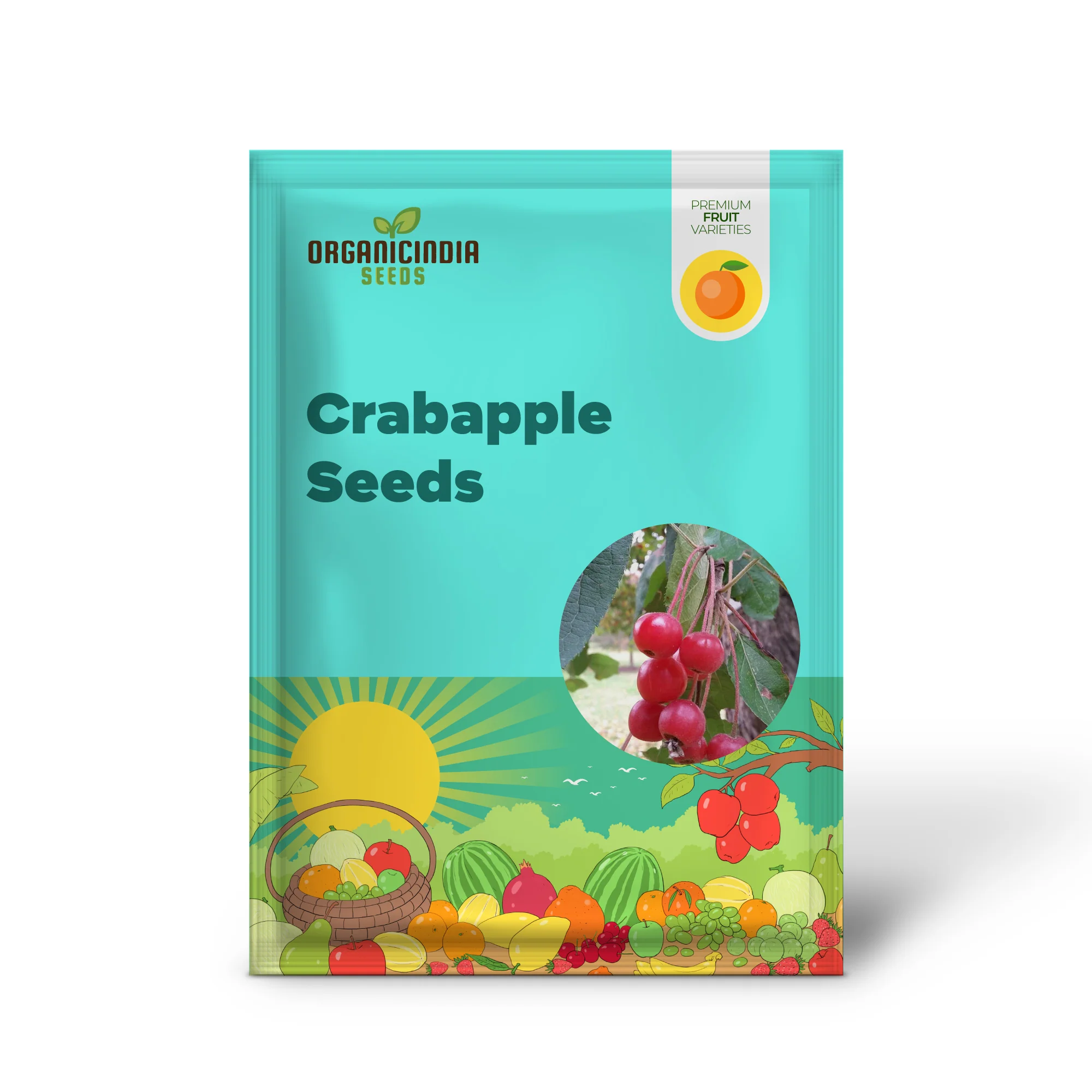 Himalayan Crabapple (Malus baccata) – Apple Seeds - Image 2